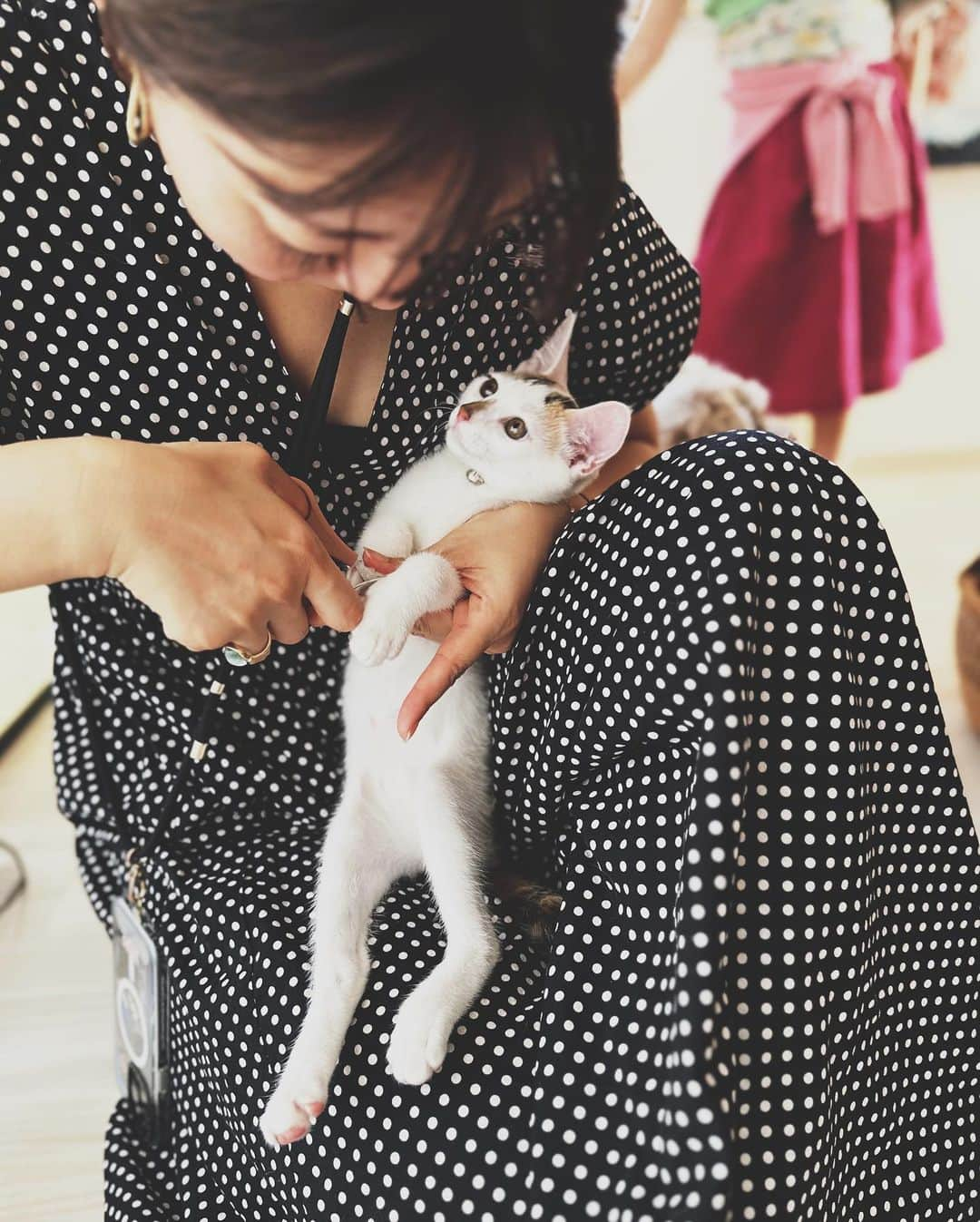 早坂香須子さんのインスタグラム写真 - (早坂香須子Instagram)「たまよ と こまの に 猫吸い界の神様が降臨✨  美雨ちゃんの猫吸いは、今や無病息災祈願のような神々しささえある。  うちに来て24日目のたま・こま、そしてダンちゃんまでが美雨ちゃんにうっとり夢中になった✨  猫好きさんは、先月NHKで放送された 「ネコメンタリー　猫も、杓子（しゃくし）も。」 を観た方も多いと思う。  サバ美との日々の暮らしと音楽と言葉、大切なひとの訃報…。生と死を真っ直ぐに澄んだ瞳でみつめた美雨ちゃんの文章に、1度目は堪えた涙が、時間をおいて視聴した時に崩壊した。  このスクショをする時にもジワッときてしまったけれど、生と死と愛に溢れた優しい世界を、また観たいと思う。  番組ネコメンタリーは、初回の「養老先生とまる」の放送からの大ファンで、全編視聴していますが、「坂本美雨とさば美」は「神回」認定させて頂きたい。  番組冒頭で、お部屋に猫の置物と共に、私の絵を飾ってくれていたのも、とっても嬉しかった✨  番組はNHKオンデマンドで観れます。 動物に興味無い方も、ぜひ見て頂きたいなぁ。  はぁ、やっとネコメンタリーについて書くことが出来た。  美雨ちゃん、たま・こま・ダンに会いに来てくれてありがとう。 なまこちゃんも、ハリネズミのハリと一緒にいっぱい遊んでくれて、ありがとう🩷（合宿がんばれ）  #ネコメンタリー猫も杓子も  #坂本美雨 #猫吸い #たまよとこまの  #dan_journal #今日のなまこちゃん」7月12日 15時48分 - kazukovalentine