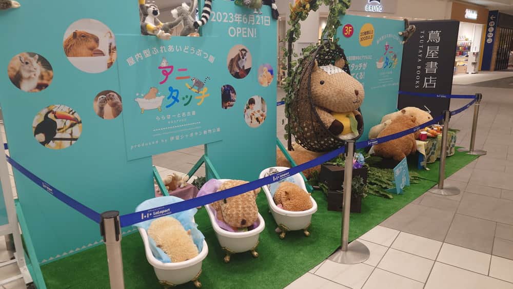 渡辺克仁さんのインスタグラム写真 - (渡辺克仁Instagram)「先日、名古屋の「アニタッチ ららぽーと名古屋みなとアクルス」を訪ねた時に、一階のエントランスに飾ってあった告知オブジェ＆看板。個人的には真ん中のリゾートチェアに座っているカピバラがお気に入り。これ見たら行きたくなるよね！  #カピバラ #水豚 #capybara #アニタッチ #名古屋」7月12日 16時00分 - katsuhito.watanabe