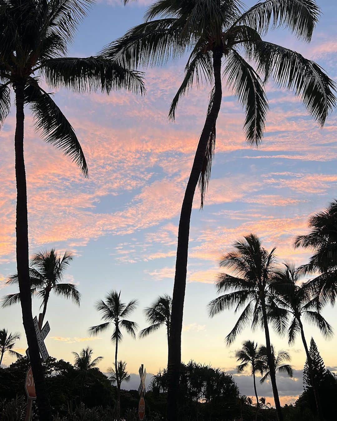 左近鈴乃さんのインスタグラム写真 - (左近鈴乃Instagram)「. Ko Olina の景色が壮大で 本当に感動したのでシェア、、😭🌴✨  Waikikiもいいけどまた全然違って大自然。 空気が気持ちよくて身体が喜んでる感じがした🤙🏼🌿 2泊、3泊とかでどっちも行くのがおすすめ！  #ハワイ #ハワイ旅行 #コオリナ」7月12日 17時00分 - suzuno_sakon