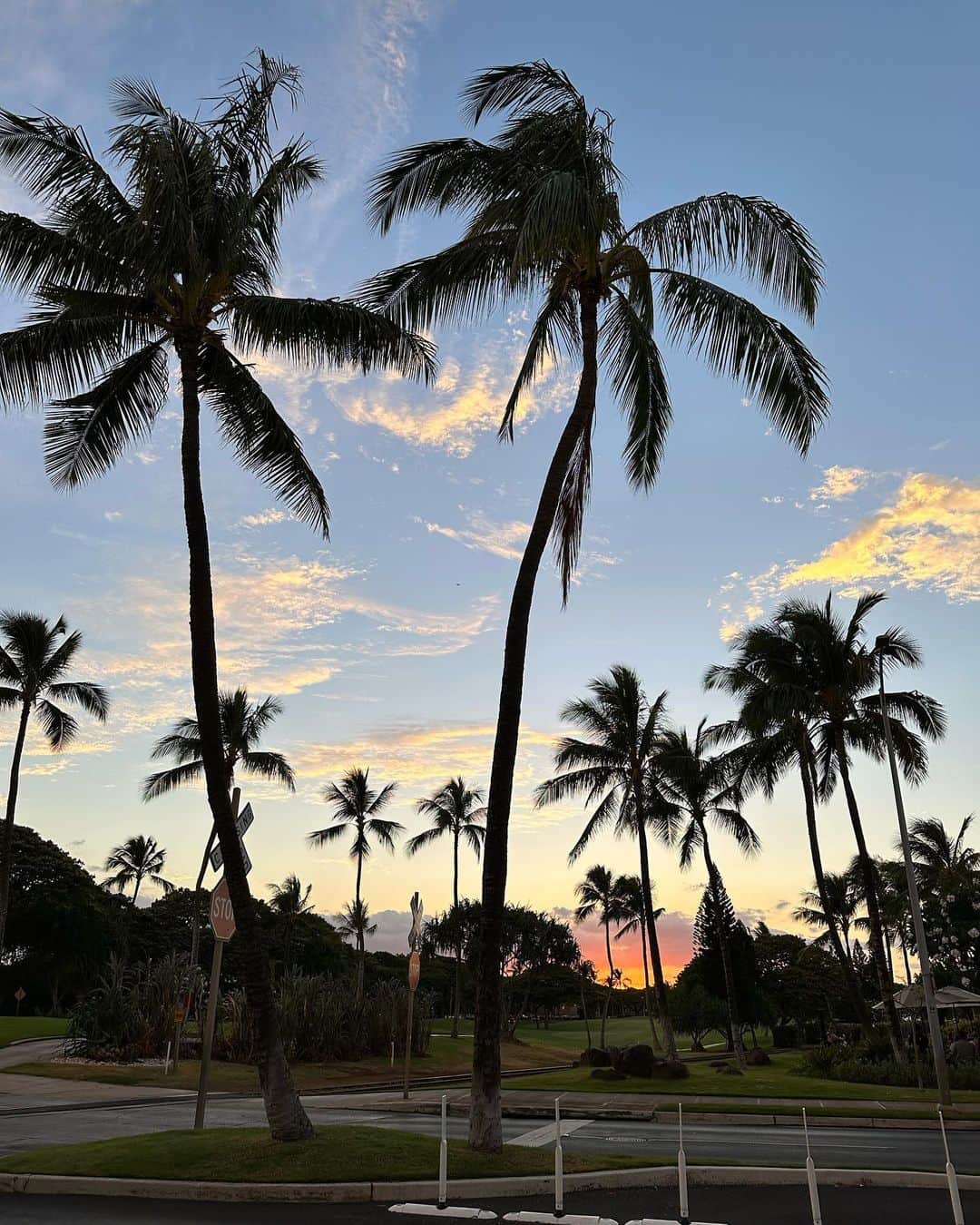 左近鈴乃さんのインスタグラム写真 - (左近鈴乃Instagram)「. Ko Olina の景色が壮大で 本当に感動したのでシェア、、😭🌴✨  Waikikiもいいけどまた全然違って大自然。 空気が気持ちよくて身体が喜んでる感じがした🤙🏼🌿 2泊、3泊とかでどっちも行くのがおすすめ！  #ハワイ #ハワイ旅行 #コオリナ」7月12日 17時00分 - suzuno_sakon