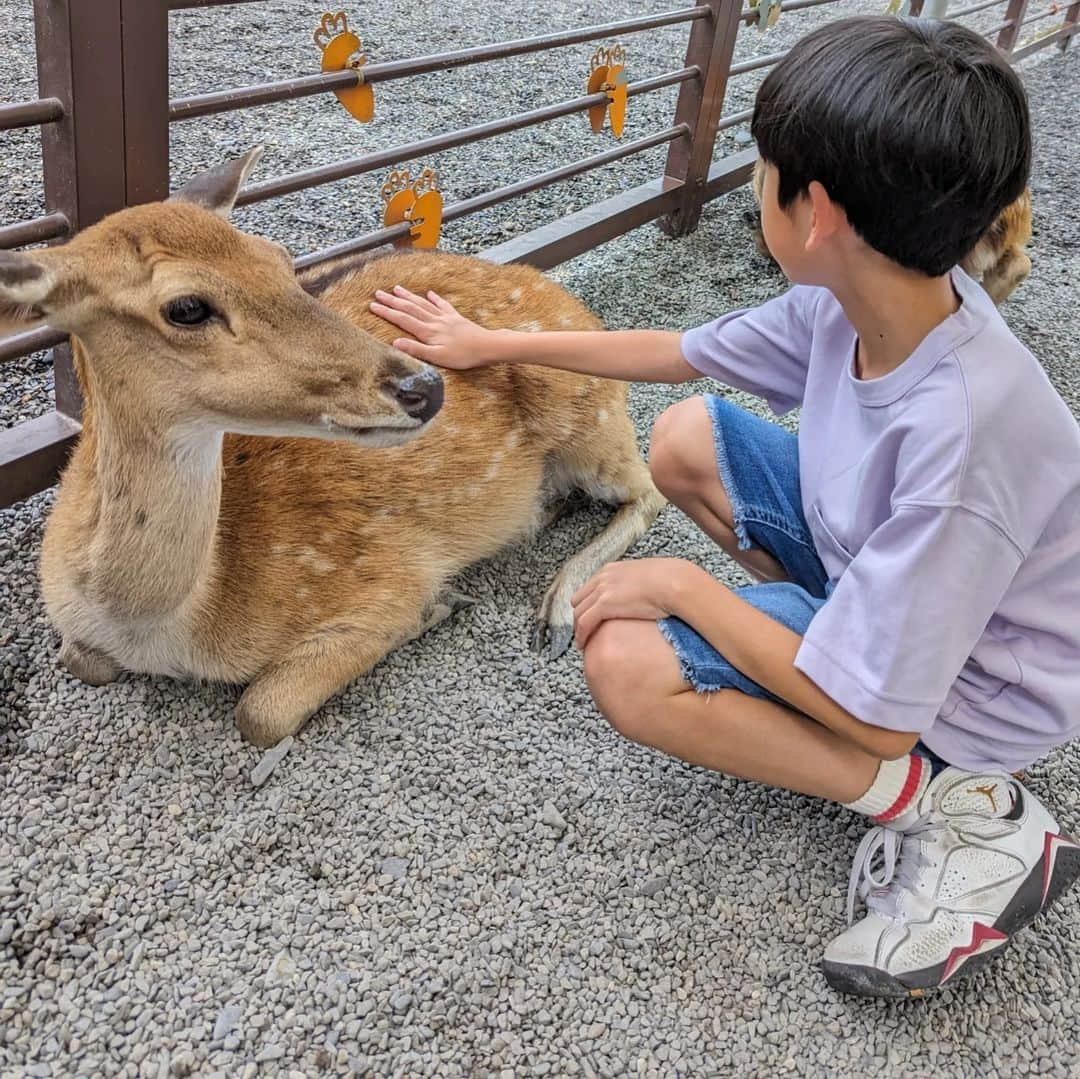 The Twins Chelsea & Jesperさんのインスタグラム写真 - (The Twins Chelsea & JesperInstagram)「第一次與斑比這麼近 趣味橫生  因為有些小鹿個頭大 孩子面露不安 爸爸帶頭示範如何安全餵食 好不緊張？？  雖然當天下著雨 斑比與水豚絲毫不受影響 熱情緊靠著遊客們 溫柔的保育員也隨時在旁 保護著小動物也安撫著小遊客  園區綠意盎然 遍佈落羽松 用心維護 是個可愛的地方」7月12日 16時53分 - chelsea_jesper