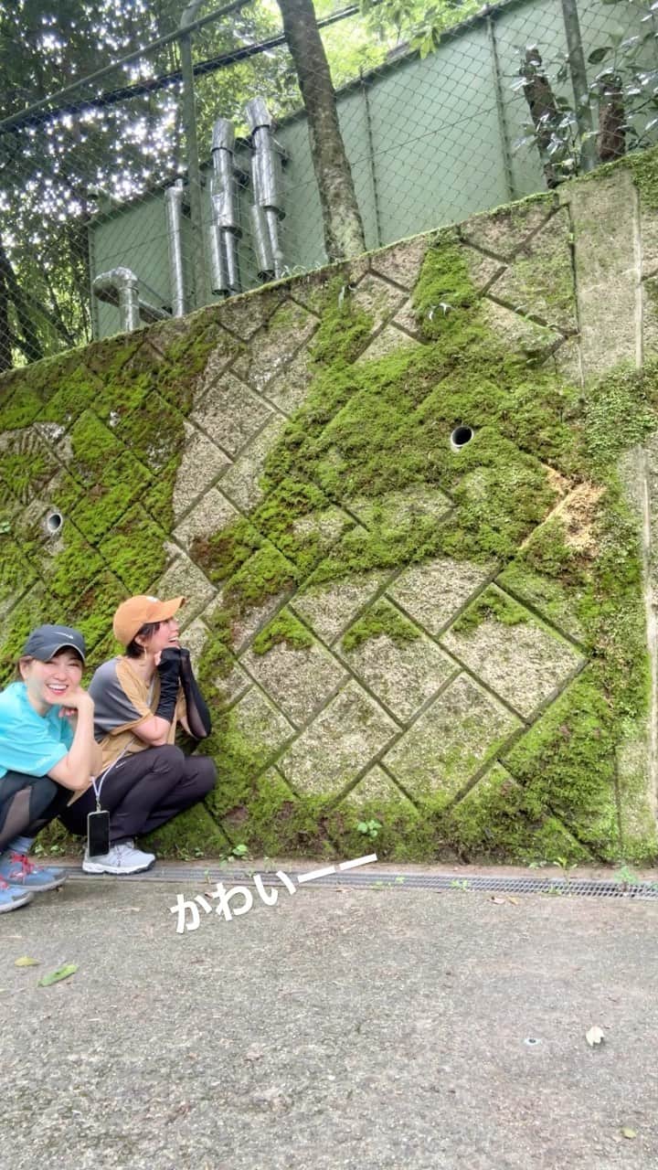 のインスタグラム：「#石切駅 #辻子谷ハイキングコース  昼から雨予報 午前中にいっちゃおう！ #辻子谷水車郷   ずっとなかなかの勾配  #興法寺  までの左手に #苔トトロ  誰が、作ったんだろーー。  お寺を、こえて、 駅から1時間で #額田園地 #ぬかた園地あじさい園  に到着！  #ハイキング#山ガール#紫陽花 #アラフィフ女子 #アラフィフライフ  #体力作り#部員募集中」