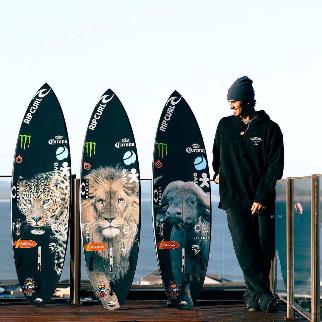 ガブリエル・メディーナのインスタグラム：「Pets ready 🐯 🦁 🦬 🦒 = 🇿🇦 @cabiancadesign」