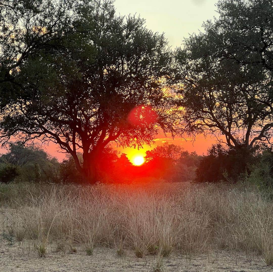 メリッサ・ジョーン・ハートさんのインスタグラム写真 (メリッサ・ジョーン・ハートInstagram)「The sunsets in