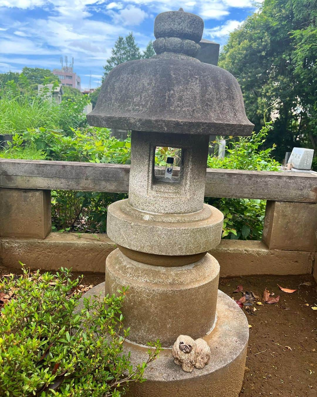 下條ユリのインスタグラム：「Rudy became wind. るーちん青山の風になる  In the middle of Tokyo, there are things that never change.  I always come here first  to greet “I’m back”.  A same flower shop has taken care of my family’s graveyard over many generations. ( it’s across the street from the night club ”Yellow” I used to go! ) The bucket with our family name and crest used to be wooden but the whole pilgrimage protocols are still the same.   Rudy joined Mocochin ( my childhood dog ) with my family.   Pic.6) 2020 Pic.7) 2016 Pic.8) 1968?  Funny I wear navy all in these photos.    東京のど真ん中にも、ずっと変わらないものがある。東京に帰ってきてまず最初に「ただいま」の挨拶をするのはいつもここ。  青山墓地は都営なのでお寺がない。何世代にも渡って同じ花屋さんに墓守りのお世話をしていただいている。（懐かしいクラブ「イエロー」の向かい側！） ファミリー桶は、昔は木製だったし、日本家屋だったお花屋さんもいつしかビルになった。でもお参りの手順は今も変わらない。  るーちんの一部がモコちんとみんなの仲間入り。  5) 2020年 6) 2016年 7) 1968 年頃？  わあぜんぶ紺色の服を着てる  #ちいさならくがき」