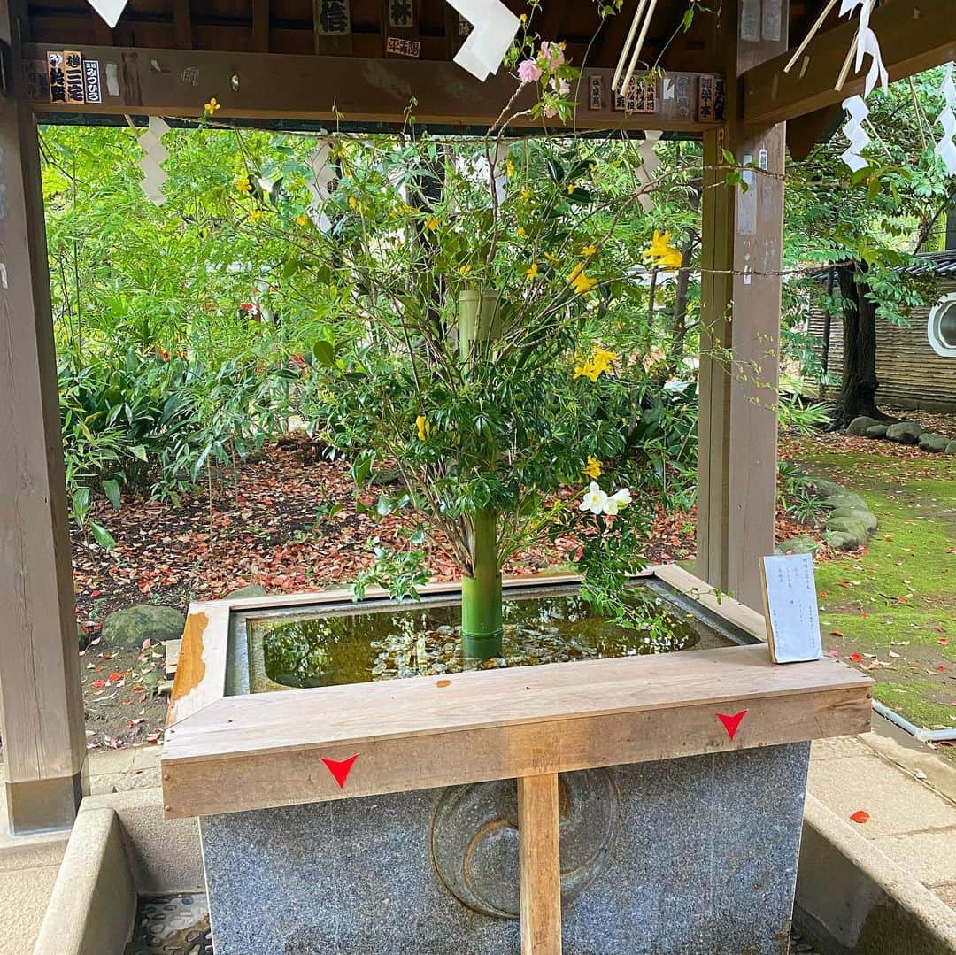 岩下真奈さんのインスタグラム写真 - (岩下真奈Instagram)「2023.07.12 #Shrine ⛩ * 4月のお誕生日で訪れた赤坂の氷川神社。 . この日ものすごくゲリラ豪雨に遭って、 誕生日に雨が降るのも参拝中に雨に遭うのも初めてで、 何だかすごく新鮮で神聖な気持ちになった🫧 . 雨上がりの神社も含めて全て素敵だったな🪞 . かなりパワー感じました✊🏻⸒⸒ . . 久しぶりに今週末神社参拝しに行こ〜🙏🤍 . . . #赤坂氷川神社 #氷川神社 #三大縁結び神社 #縁結び神社 #縁結び #恋愛成就 #御城印巡り #御城印  #model #fashion #makeup #ootd #寺社仏閣 #御朱印帳 #赤坂 #寺社仏閣巡り #神社巡り #神社好きな人と繋がりたい #旅行好きな人と繋がりたい #フリーランス #モデル #インフルエンサー #今日のコーデ #ポートレート #撮影依頼募集中 #おしゃれさんと繋がりたい #カフェ好きな人と繋がりたい #邦ロック好きな人と繋がりたい #美容好きな人と繋がりたい」7月12日 20時01分 - mana_mdleam