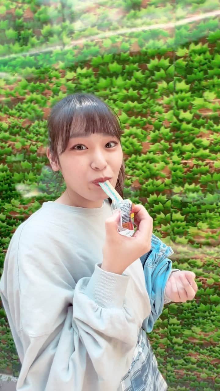 小山星流のインスタグラム：「海外のグミ好き〜  #instagood #followme #リール #いいね #01 #tagforlikes #종아요 #팔로우 #海外グミ」