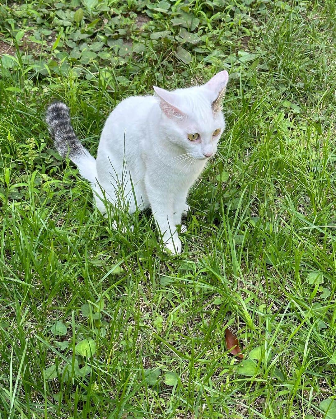 大橋リナさんのインスタグラム写真 - (大橋リナInstagram)7月12日 20時04分 - linaohashi