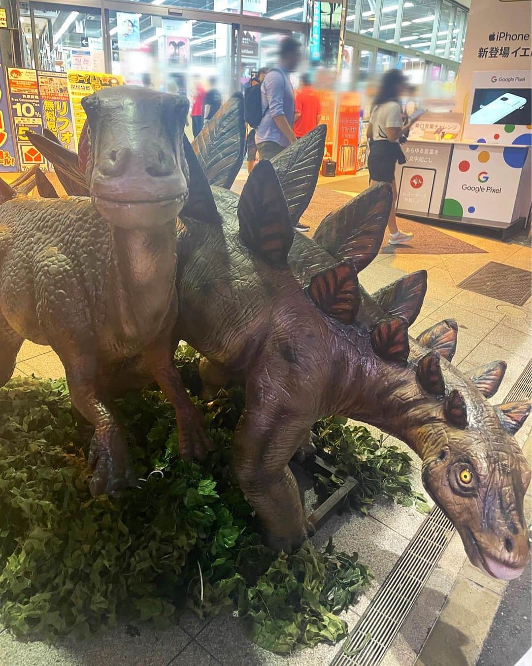 吉田広大のインスタグラム：「おい左サウルス、こっち見んな🦖  本日もお稽古でした。 少しずつ進んで行ってる。 新しい作品がその瞬間瞬間出来上がる感じに凄くワクワクしてます🔥」