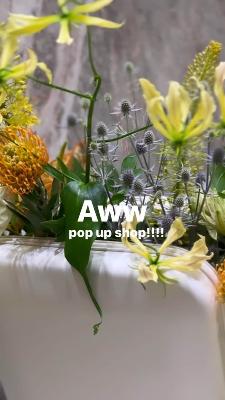 島野ミキのインスタグラム：「・ @awwtravel_official  TOKYO & OSAKA POP UP STORE​​​​​​​​​  Awwのpopupに @beach_azu と行ってきたょ🌼 Awwのスーツケースはカラーバリエーションがすごくて 見た目が可愛いだけじゃなく使い勝手もよく 軽くておすすめなの！！！ なんなら私3色持ってる🫶 新作商品なども直接見れるチャンスなので ぜひこの機会に来てみてね🩵😋  <TOKYO> Date: 2023.07.12(WED)-18(Tue) Place: 伊勢丹新宿店本館 2F アーバンクローゼット Time: 10:00-20:00  <OSAKA> Date: 2023.07.19(WED)-25(Tue) Place: 阪急うめだ本店 4Fイットコンテンポラリー Time: 10:00-20:00 OSAKAではサプライズコラボも！  <POP UP特典＞ ▷現在完売している商品を、POPUP限定で先行予約受付✨ CACTUS VEGAN LEATHER BOSTON BAG (WHITE/NAVY) ※8月上旬お届け SUITCASE (SMALL) (BEIGE/GREEN) ※少量7月下旬お届け。通常9月上旬〜中旬お届け SUITCASE (MEDIUM) (BEIGE/GREEN) ※少量7月下旬お届け。通常9月上旬〜中旬お届け  ▷3万円(税込)以上お買い求めの方全員に、APPLE LEATHER COINCASEをプレゼント ※カラー3色（ブラック・レッド・ブルー） 　形2タイプ（丸・ハート） ※カラー・形は在庫状況次第で、ご希望に添えない場合がございます。  ▷インスタグラムフォロワー様限定オリジナルステッカープレゼント  @awwtravel_community #findyouraww  #mygreenerchoice #aww-travel_popup#popupshop#新宿#伊勢丹#新宿伊勢丹#スーツケース#color#旅行#travel#海外旅行」