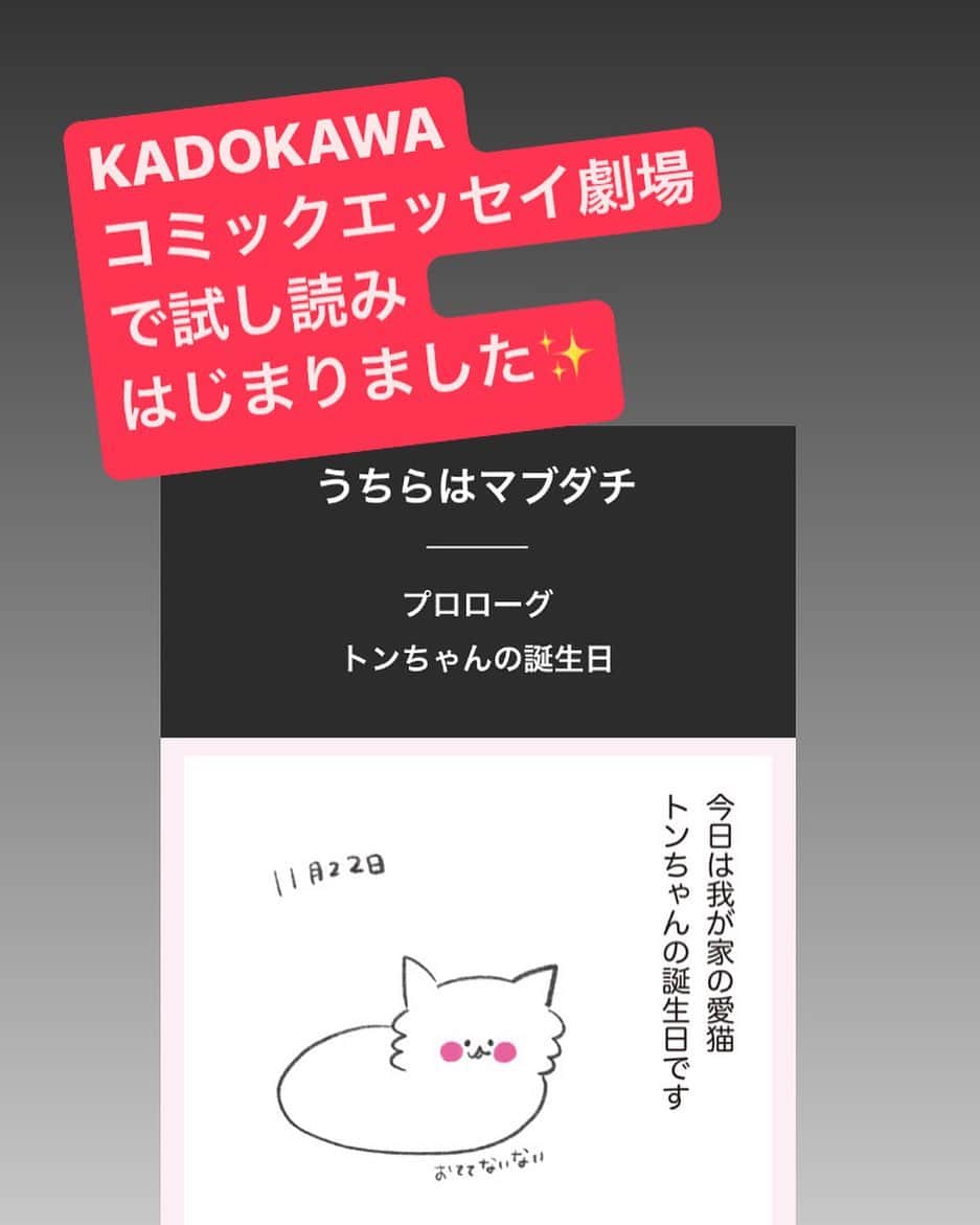 やまもとりえのインスタグラム：「KADOKAWAの「コミックエッセイ劇場」で「うちらはマブダチ」の試し読み始まりました✨☺️ストーリーかハイライトから読みにいけます！」