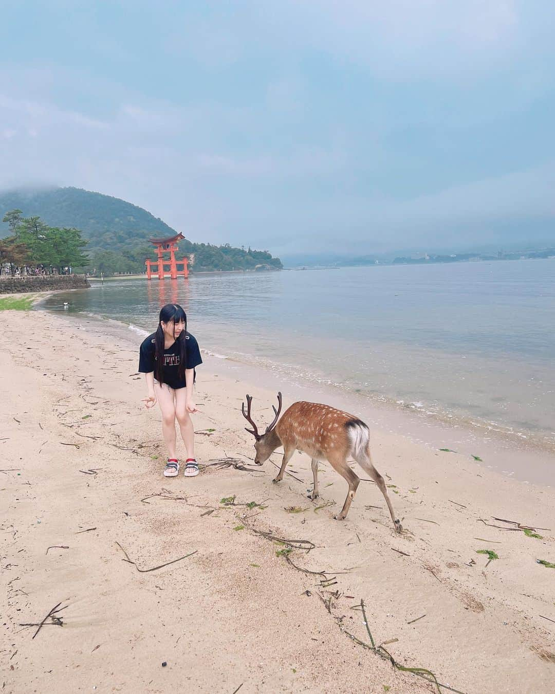 りりりさんのインスタグラム写真 - (りりりInstagram)「広島旅行の思い出＞ ·̫ ｑ❤︎ ･ ･ ･ じぃじとばぁばと久しぶりに出かけれて楽しかった！🫶🏻  #広島  #宮島  #厳島神社  #みやじまりん  #高校生  #ljk  #학생」7月12日 20時30分 - ririri1116