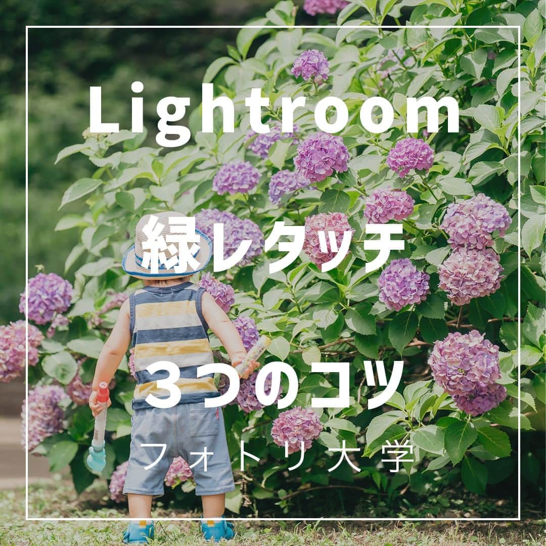 フォトリ Magazineのインスタグラム：「【Lightroom緑レタッチ３つのコツ】  緑レタッチの方法を伝授！  講師はフォトリカメラマン　まるちゃん  @marubhangram4 . 「参考になった！」と思った方は、いいね♡を押してい ただけると嬉しいです😍 . あとで参考にするときのために、投稿を保存しておくと 便利です♪ . . . 「何気ない日常の中で、元気をもらえる瞬間」が撮影で きたら #写真で明日をもっと楽しく のタグをつけて、お写真投稿 してね🙆‍♀️ 投稿してくださった方の中から、紹介させていただきま す✨  --------------------------* . 👩‍👩‍👧‍👧写真で明日をもっと楽しくするオンラインサロン「フ ォトリ大学」 人数限定のオンラインコミュニティです。みんなと繋がる 、写真が上達する、アットホームな場所です🙆‍♀️ . 💪カメラマン養成講座　フォトリ大学プロ 無料体験実施中！初心者からでも安心のパーソナルトレー ニングでぐんぐん上達 . 詳しくはURLから🙆‍♀️ --------------------------*.  #一眼レフ初心者 #カメラのある生活  #ファインダー越しの世界 #その瞬間に物語を  #何気ない瞬間を残したい #ig_japan #ママカメラ  #カメラ上手くなりたい #写真上手くなりたい  #ノスタルジーな瞬間を #カメラのある生活  #ポトレのセカイ #写真教室 #レタッチ練習中  #高校生カメラマン #photography  #写真撮ってる人と繋がりたい #カメラガールズ真好  #children_jp #kids_japan #写真加工  #写真好きな人と繋がりたい #関東ママ #おうち時間  #カメラママと繋がりたい #夕焼け #レタッチ  #レタッチテクニック」
