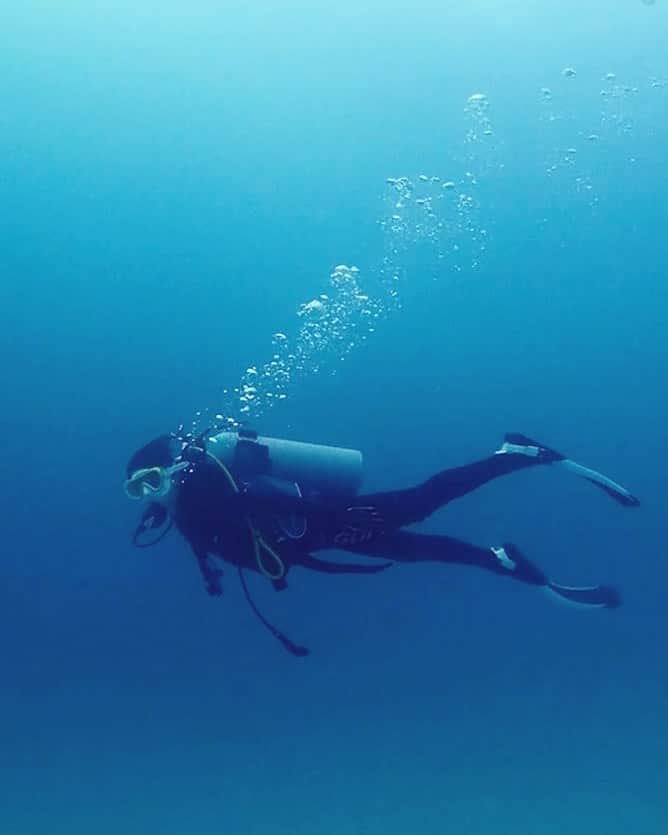 のインスタグラム：「. 先日、お仕事を終えた後沖縄旅へ🐠 ⁡ 今回も色んなの生き物たちに出会えたけど 初めましてのサメやエイやウツボに感動🦈 ⁡ ウミガメ、ウミウシ、クマノミなど 沢山の生き物と挨拶できました〜☺︎」