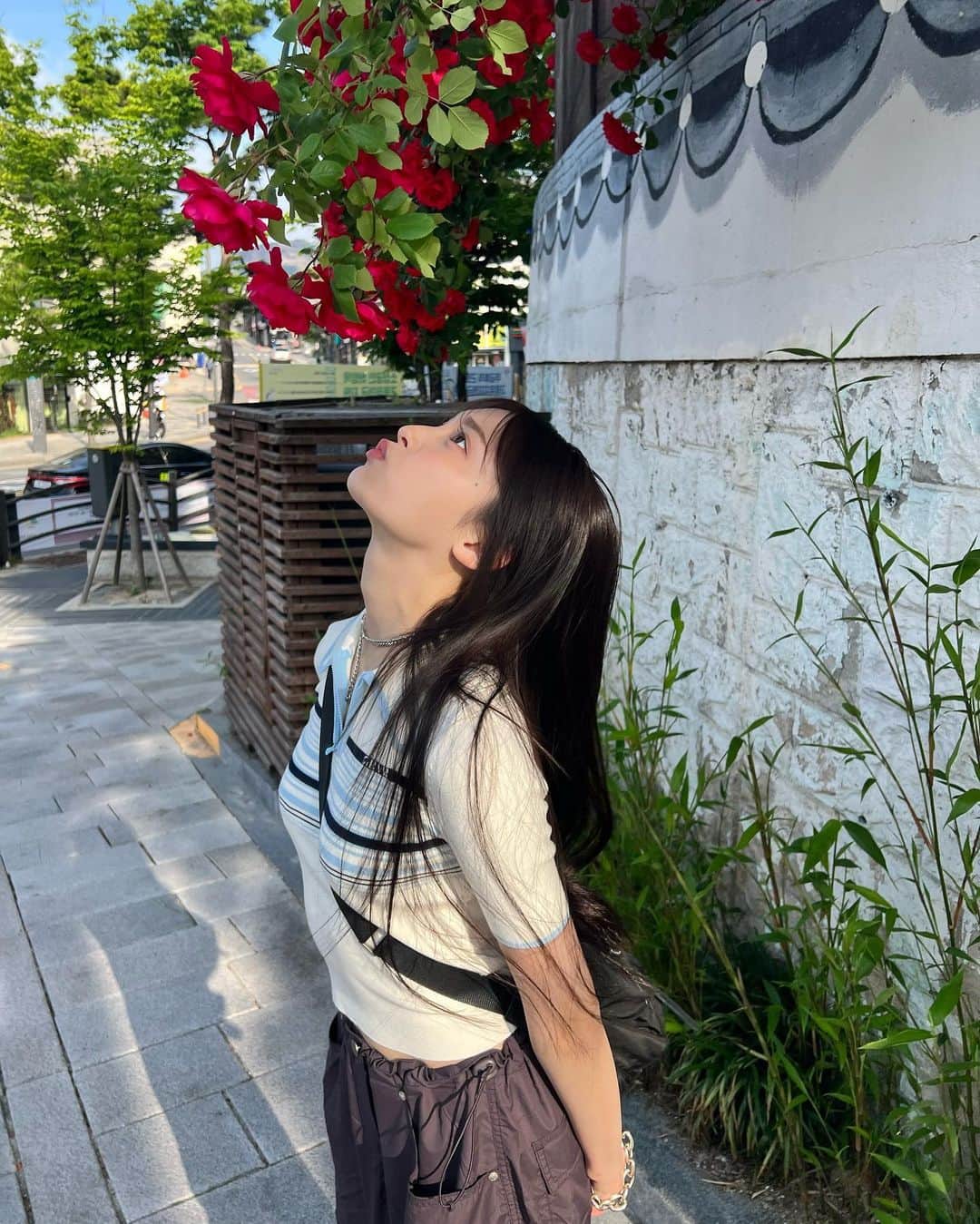 小山リーナさんのインスタグラム写真 - (小山リーナInstagram)「薔薇綺麗🌹」7月12日 21時19分 - rina_koyama_box