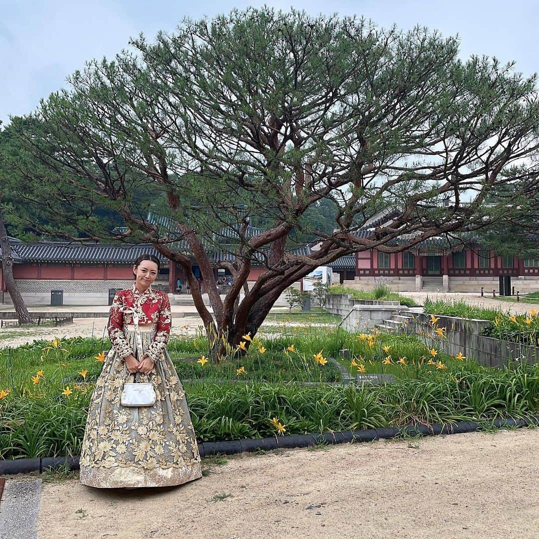 みかんさんのインスタグラム写真 - (みかんInstagram)「いつかの韓国旅行🇰🇷 チマチョゴリは着ずには帰れない💖 またまた、わたしの悪巧みが 始まりました😏😏😏  以前、景福宮(キョンボックン)に行ったので今回は場所を変更し、昌徳宮(チャンドックン)でのロケ✨  やはり本場は違いますね〜👍  さて、やるとしますかぁ😏 王様🫅🫶 仕上がり動画を楽しみに🍊  #韓国旅行  #경복궁 #창덕궁 #チマチョゴリ #チマチョゴリ体験 #ものまねみかん #모노 마네 귤 #韓国ドラマ時代劇あるある」7月12日 21時26分 - mikan02241984