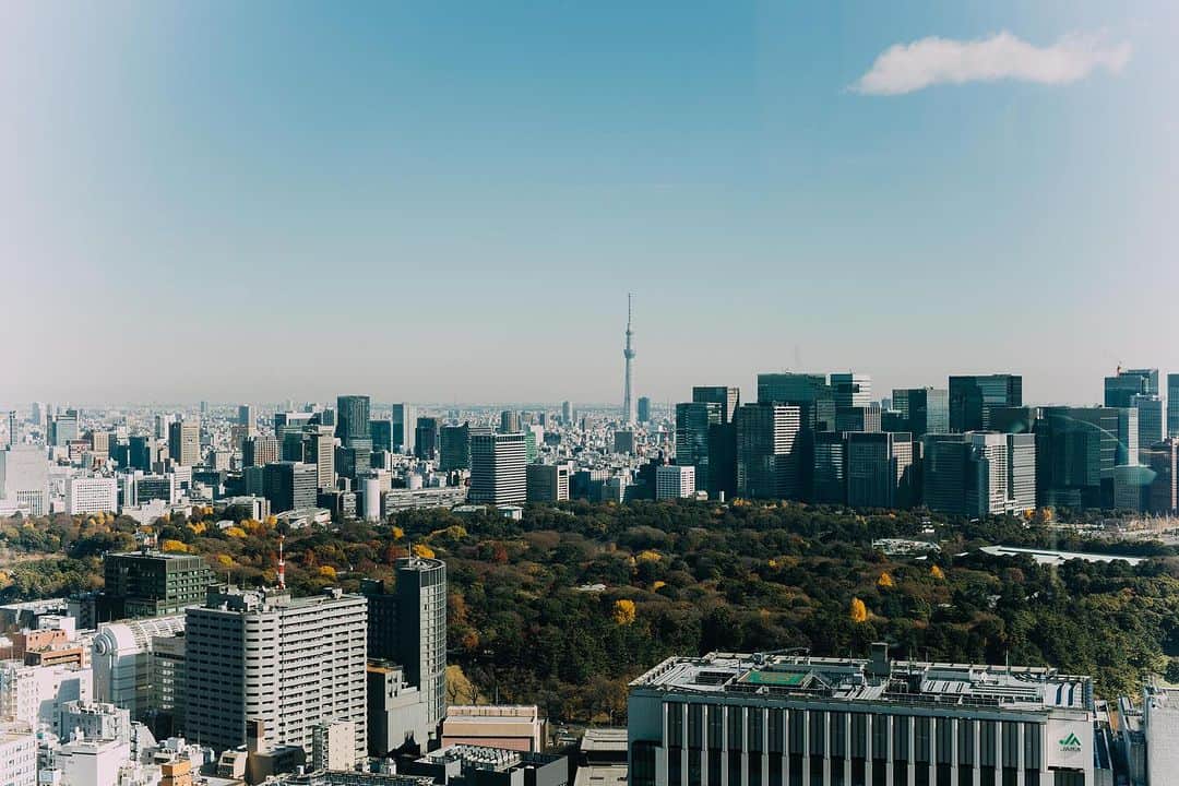 のインスタグラム：「客室から望む遮るものがない景色。自然と大都会のビル群が混じり合う、東京ビューをお楽しみください。  Enjoy uniquely impressive views of the Tokyo cityscape, where the nature and the buildings of the metropolis mingle.  Share your own images with us by tagging @princegallerytokyokioicho ————————————————————— #theluxurycollection #princehotels #tokyohotel #marriottbonvoy #theprincegallerytokyokioicho #ザプリンスギャラリー東京紀尾井町 #東京ホテル #ホカンス #ホテルからの景色 #東京ホテルステイ」