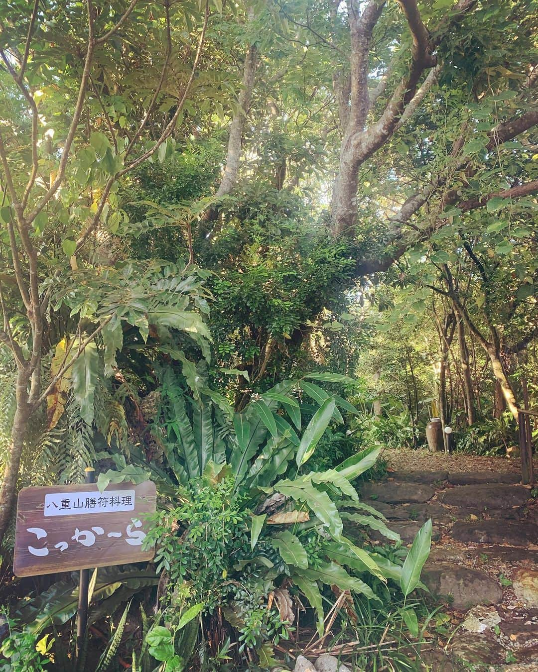 Rie fuさんのインスタグラム写真 - (Rie fuInstagram)「Nature’s colours - you haven’t seen emerald green until you visit #ishigakiisland #okinawa 🏝️ 自然の色ってこんなに美しいんだ、と発見の連続。 旅のハイライトは、リアル隠れ家レストラン「こっかーら」の帰り際に店主に「外来種の巨大カエルに気をつけて」と言われて笑い飛ばしてたらお店を出た瞬間に本当に出たこと🐸 #石垣島　#沖縄　#島　#大自然  #holiday #vacation #バケーション　#バカンス #旅行好きな人と繋がりたい #南国」7月12日 21時39分 - riefuofficial