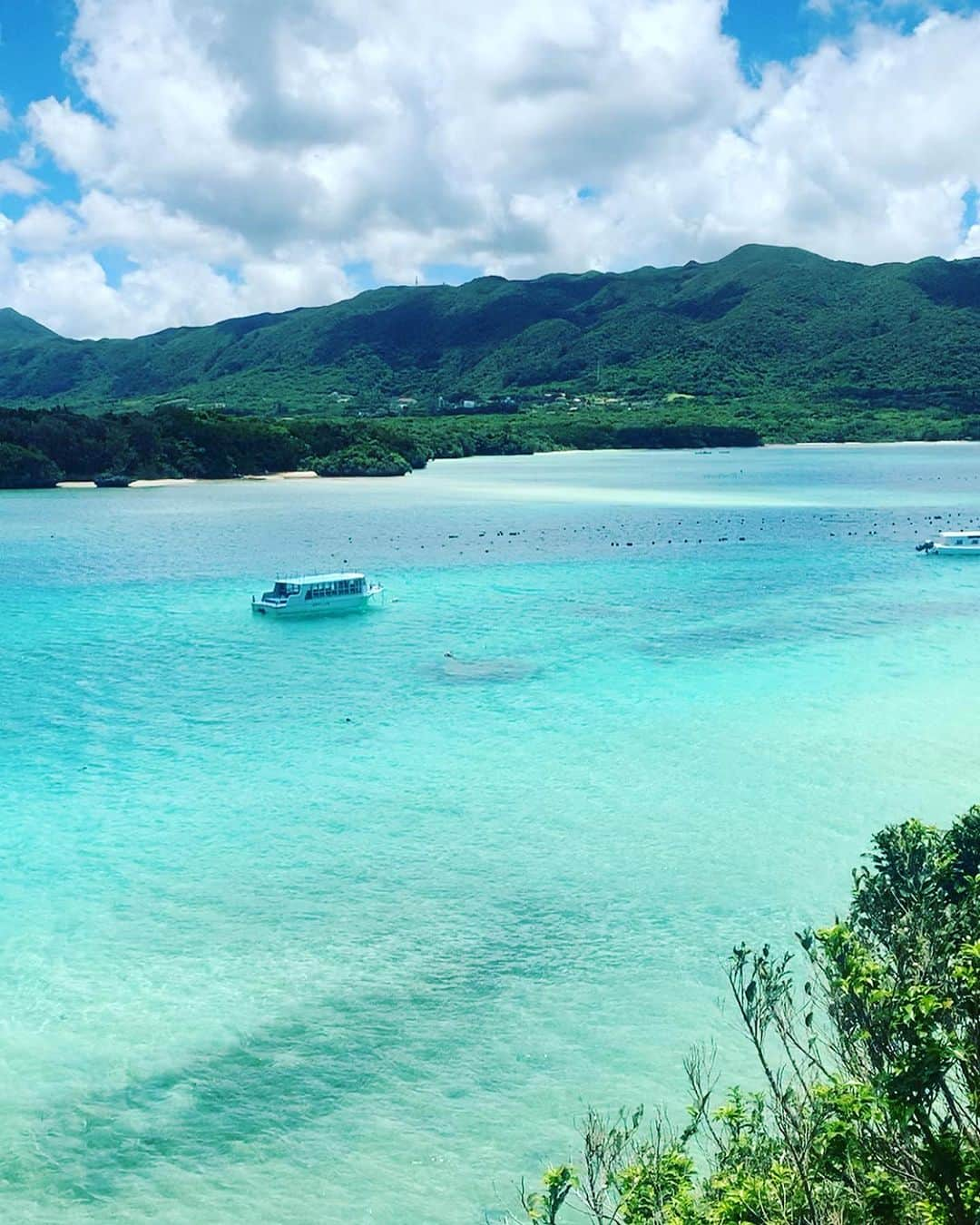 Rie fuさんのインスタグラム写真 - (Rie fuInstagram)「Nature’s colours - you haven’t seen emerald green until you visit #ishigakiisland #okinawa 🏝️ 自然の色ってこんなに美しいんだ、と発見の連続。 旅のハイライトは、リアル隠れ家レストラン「こっかーら」の帰り際に店主に「外来種の巨大カエルに気をつけて」と言われて笑い飛ばしてたらお店を出た瞬間に本当に出たこと🐸 #石垣島　#沖縄　#島　#大自然  #holiday #vacation #バケーション　#バカンス #旅行好きな人と繋がりたい #南国」7月12日 21時39分 - riefuofficial