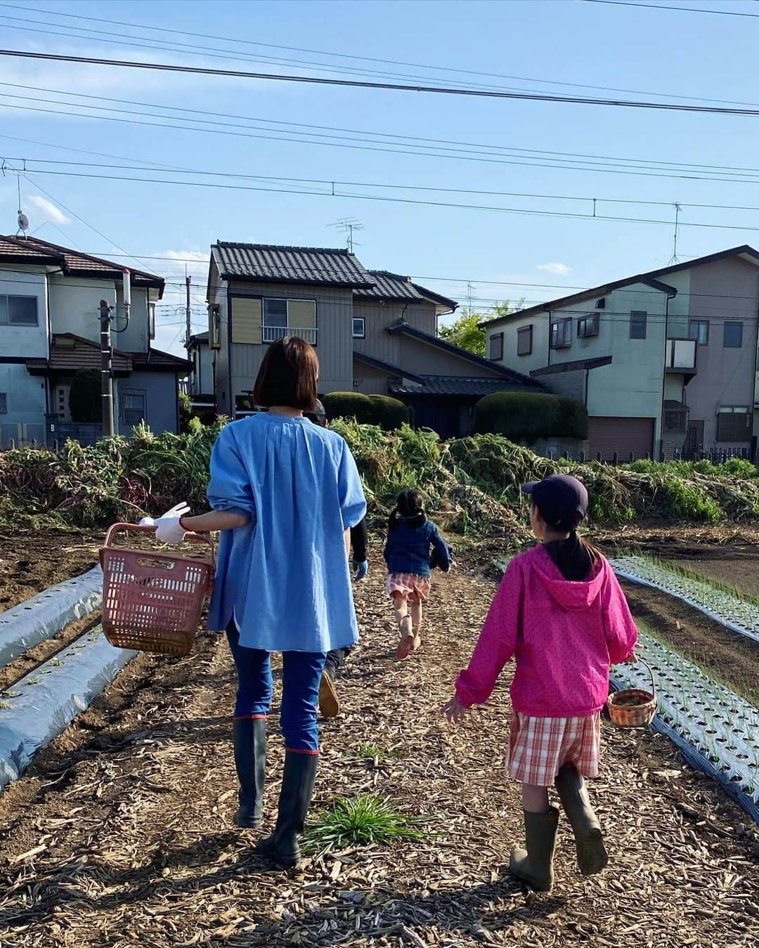 川瀬良子さんのインスタグラム写真 - (川瀬良子Instagram)「【旅色LIKES】公開☀️  こんにちは！ 農業旅アンバサダーの川瀬良子です😊 今回は、千葉県我孫子市にある農園［ベジLIFE!!］の園主・香取岳彦さんを訪ねました。 「自分の野菜を食べていただいて、みんなの心と体を元気にしたい！がモットーなんです。」と話す香取さん一家と、農薬不使用の元気な野菜の収穫体験をしてきました〜！  香取さんも、香取さんファミリーも、野菜達も、元気元気😆  いっぱい収穫して、いっぱい喋って、いっぱい食べて、おいしくて楽しくて、あっという間に夕暮れになっていました〜🤣  取材をさせて頂いて、一生懸命文章も書いております✏️  ぜひぜひ！読んでいただきたいです♪  ［旅色LIKES 川瀬良子］と、検索してみて下さいね！ 感想も、お待ちしてますっ😊  https://tabiiro.jp/likes/articles/view/1690/  🥕🥕🥕  #旅色LIKES #旅色 #農業旅 #旅色アンバサダー #ベジLIFE #ベジLIFE我孫子 @vegelifeabiko  #千葉県 #我孫子市 #農業 #農家 さん #収穫体験  香取さん😊 ありがとうございましたっ！！！ また遊びにいきま〜すっ！！！ 語りましょーーー🤣！！！」7月12日 21時48分 - kawase_ryoko