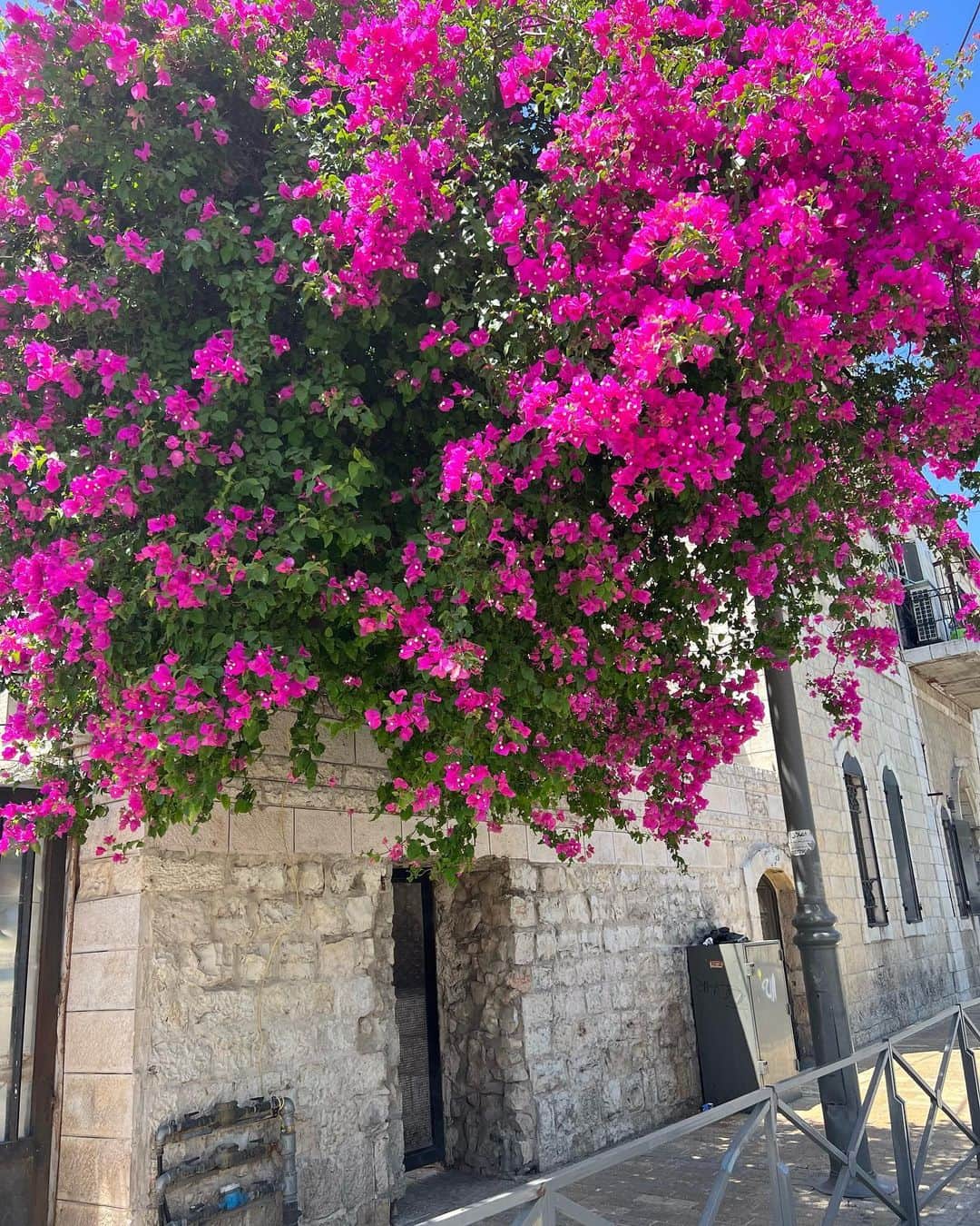 東野佑美さんのインスタグラム写真 - (東野佑美Instagram)「📍Jerusalem, Israel イスラエルでも毎日サウナして水風呂して← ちょこまか街を探索してました🇮🇱 本当に綺麗なところだよね🥹✨  ここはスイスみたい！この辺りはクロアチアみたい〜！ って思い出しながら話してた🫣🤍  #海外旅行 #中東 #イスラエル #エルサレム #jerusalem #israel」7月12日 21時42分 - yumi.higashino