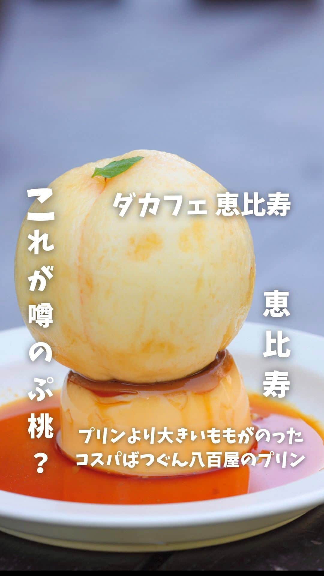 プリン王子のインスタグラム