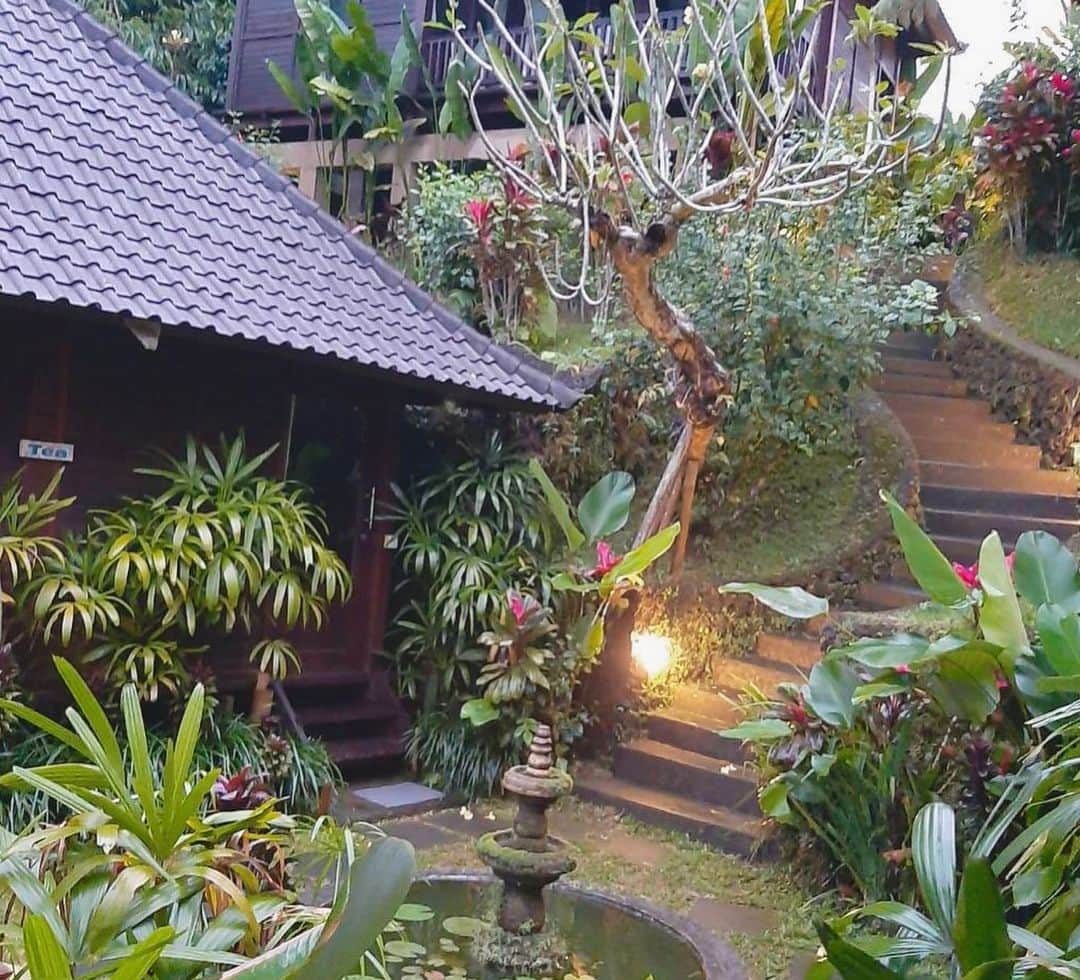 YASTIN さんのインスタグラム写真 - (YASTIN Instagram)「大自然🌴🌴🌴 の中のヴィラ🏡 #ubud  大雨やばすぎたけど普段できない経験できた  #villawedang #villa #ウブド #ubudbali #ubudlife #大自然 #ヴィラ #バリ島旅行 #balitrip #baliisland #バリ旅行 #旅スタグラム #リゾート #🏝 #🌴 #☀ #🌊☀️ #☀️☀️☀️」7月12日 22時33分 - yastin0109