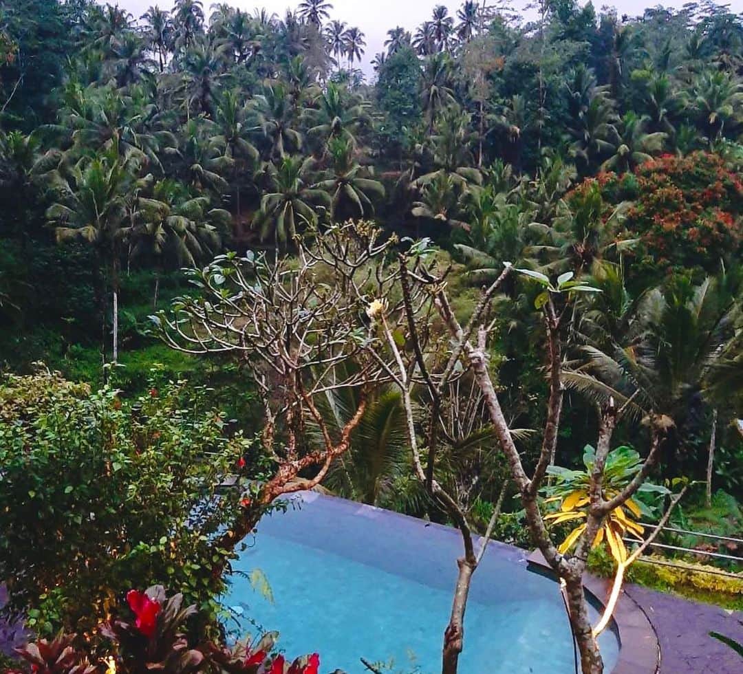 YASTIN さんのインスタグラム写真 - (YASTIN Instagram)「大自然🌴🌴🌴 の中のヴィラ🏡 #ubud  大雨やばすぎたけど普段できない経験できた  #villawedang #villa #ウブド #ubudbali #ubudlife #大自然 #ヴィラ #バリ島旅行 #balitrip #baliisland #バリ旅行 #旅スタグラム #リゾート #🏝 #🌴 #☀ #🌊☀️ #☀️☀️☀️」7月12日 22時33分 - yastin0109