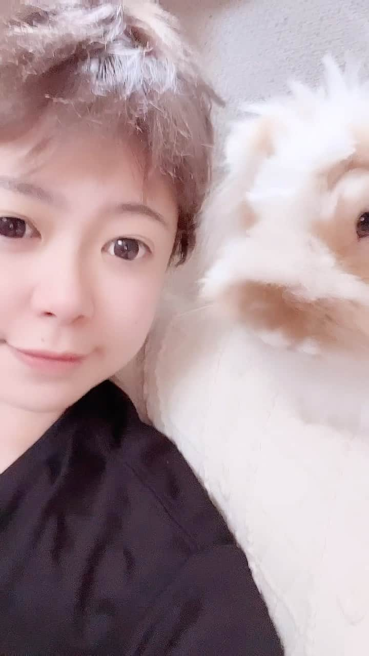 野澤美仁のインスタグラム：「ミッフィ！とみさと。 🐰🐰🐰🐰🐰  レインボータウンFM💓 ミサトーナイト！！ FM88.5🌈 毎週金曜日22時から聴いてください！アプリListen Radioでも聴けます！  #FM88.5#listenradio #リスラジ #youtubelive #ミサトーナイト#cuteanimalshow#miffy#ミッフィー#animal #petstagram#funny #RABBIT#art#artist#pet#うさぎ #anime #アニメ#hair#relax#cute」