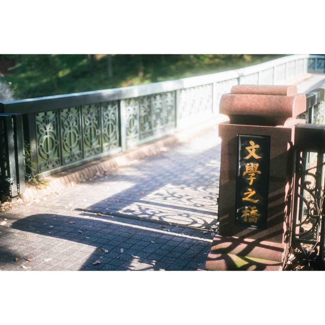 のインスタグラム：「【SOKA Photo Contest 2023】Prise-winning photographs⑦📸 #discoversoka #sodaigram #sodaipictures #sokauniversity #創価大学 #hachioji #八王子 #tokyo #東京 #campus #キャンパス #university #大学 #students #学生」