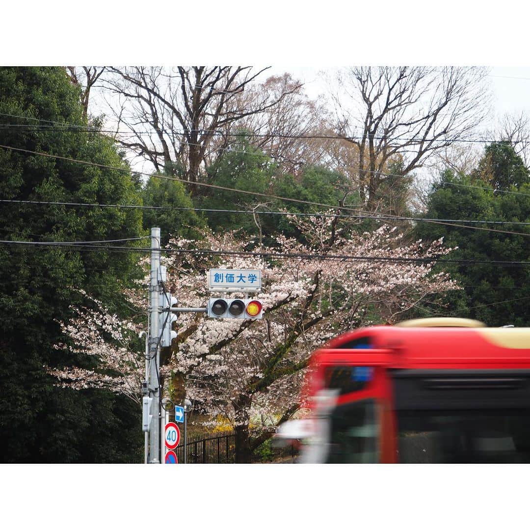 のインスタグラム：「【SOKA Photo Contest 2023】Prise-winning photographs⑧📸 #discoversoka #sodaigram #sodaipictures #sokauniversity #創価大学 #hachioji #八王子 #tokyo #東京 #campus #キャンパス #university #大学 #students #学生」