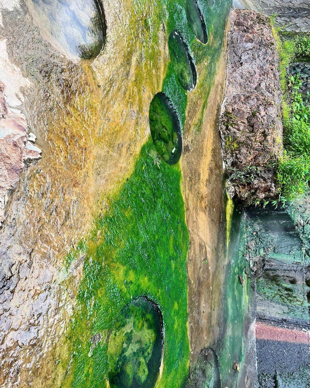 茜さやさんのインスタグラム写真 - (茜さやInstagram)「『たこやき温泉』 中の湯温泉にある野湯♨️  まるでたこ焼き機みたいなかわいい温泉で 今日は20度くらいで寒かったから 温度もちょうど良かった👏 41度くらいかな！？  緑の藻は綺麗だけどめちゃくちゃ滑るから気をつけてね🫣  #たこやき温泉　#たこ焼き温泉 #中の湯温泉 #長野　#温泉　#野湯　#野湯ガール #onsen #hotspring #hotsprings #takoyaki #takoyaki🐙」7月13日 0時37分 - saya.akane