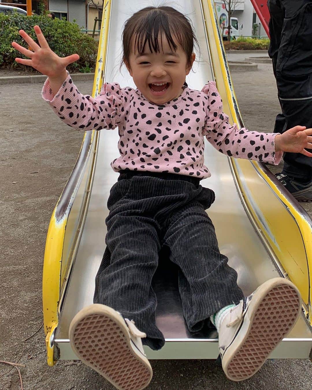 漆川由佳のインスタグラム：「3歳前のイルマ🥳💕」