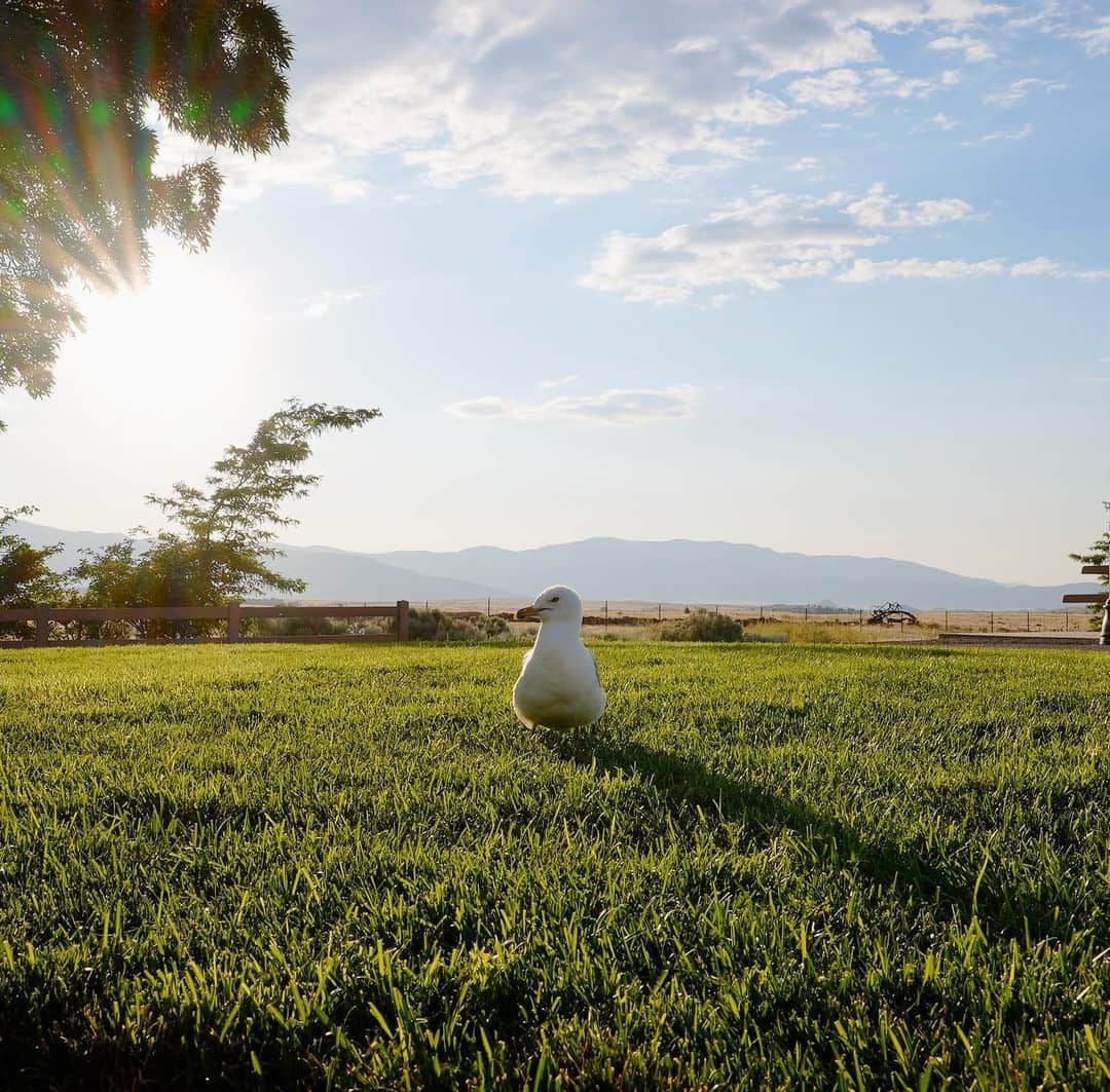 リクヲさんのインスタグラム写真 - (リクヲInstagram)「学校が先月に終わり、これから旅に出ます。 写真に撮ってまた投稿しますね！」7月13日 8時00分 - avntis_rikuwo