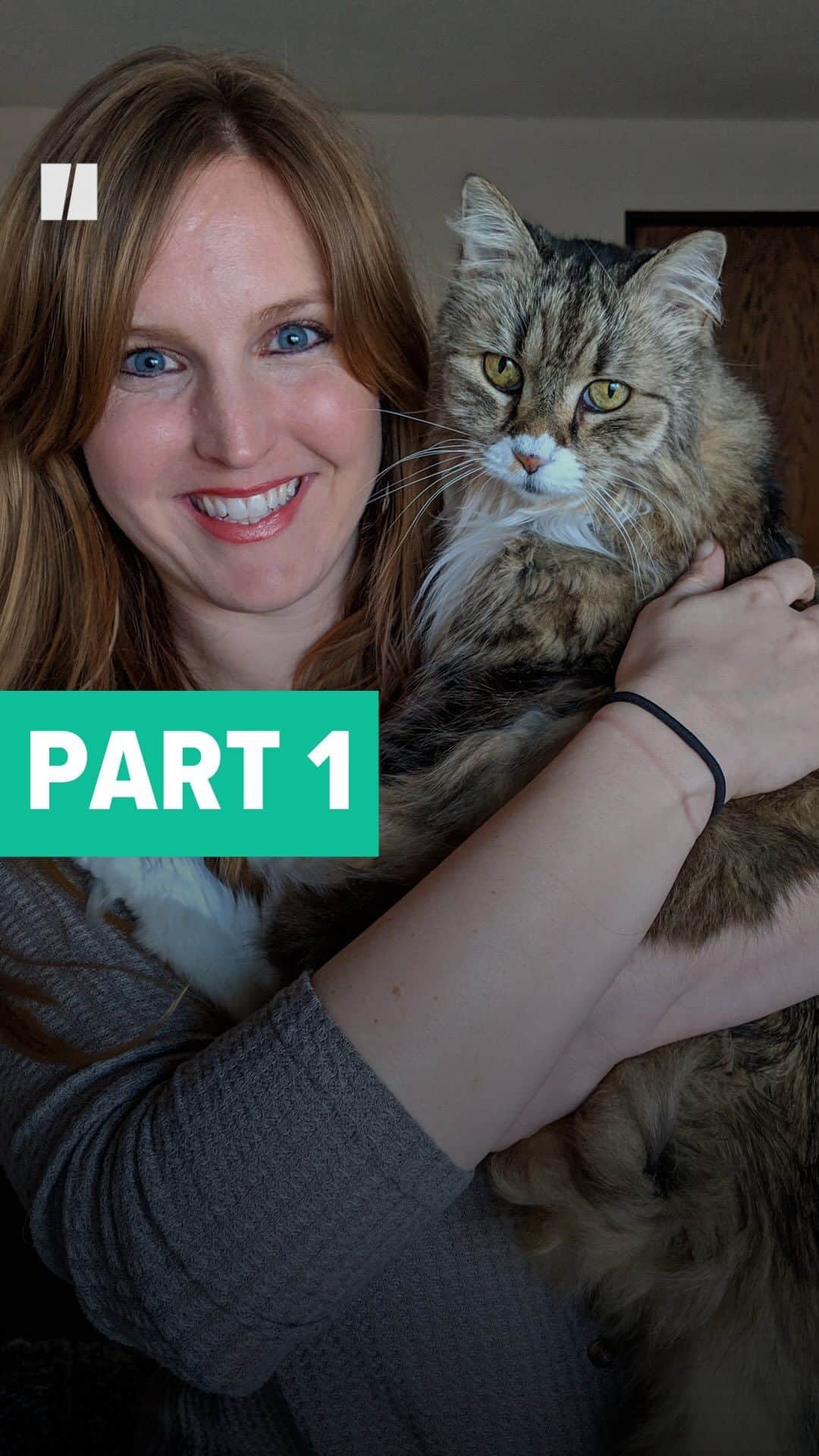 Huffington Postのインスタグラム：「In an essay for HuffPost, guest writer Julie Knopp opened up about her loved ones’ diverse responses to her grief after the recent loss of her 18-year-old cat, Waffle Cone.  “Within an hour of her death, a florist’s truck pulled up in front of my home. A friend had sent flowers with a card offering condolences. Messages from other loved ones included offers to give me hugs and homemade soup,” wrote Knopp.  But she says that “not everyone was so generous with their empathy.” Some people she communicated with daily knew her “loyal companion” had died and didn’t acknowledge it.  “Many of the societal mechanisms of social and community support are absent when a pet dies. Few of us ask our employers for time off to grieve a beloved cat or dog because we fear doing so would paint us as overly sentimental, lacking in maturity or emotionally weak. Studies have found that social support is a crucial ingredient in recovering from grief of all kinds.”  Read more at our link in bio.」