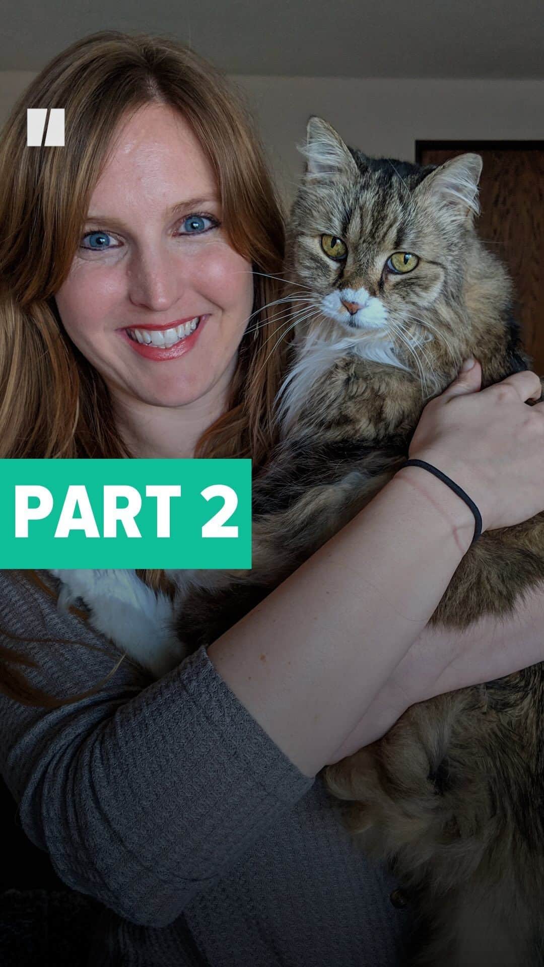 Huffington Postのインスタグラム：「In an essay for HuffPost, guest writer Julie Knopp opened up about the four words she wished she’d never been told while grieving the death of her 18-year-old cat, Waffle Cone.  “When my partner told an acquaintance about our loss, the acquaintance replied, ‘It’s just a cat.’ Those four words ― and other dismissive responses to grief ― are common following such tragedies and can complicate the healing process,” wrote Knopp.  “Breakups, miscarriages, deaths of companion animals and other misfortunes can result in something called ‘disenfranchised grief,’ which stems from losses that are not widely considered significant. In these cases, the bereaved may receive little social support and be limited in their ability to fully express their grief.”  “When we let the griever decide what constitutes a loss and how significant that loss is, we can better understand what support should look like. And while everyone grieves differently, most people share in common a need for their loss to be acknowledged.”  Read more at our link in bio.」