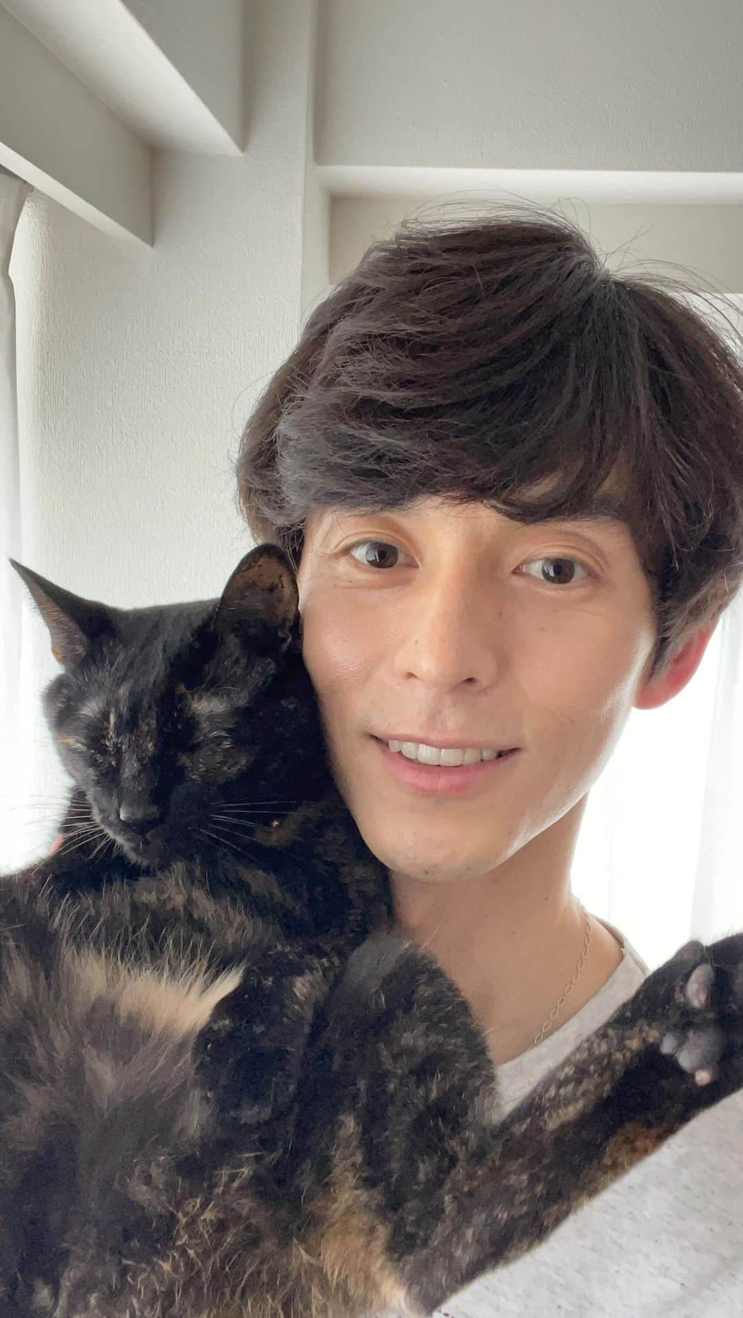 片岡信和のインスタグラム：「週１インスタライブ♪ 熟睡するココさん、流石だ。  #猫 #猫のいる暮らし  #ねこ #ねこすたぐらむ  #保護猫 #保護猫と暮らす #家族  #cat #catsofinstagram  #catlover #catlife」