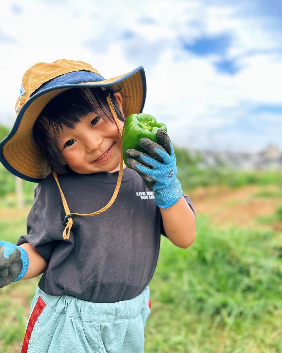 忍舞のインスタグラム：「この日収穫以外の事が沢山あったので🫑🥒の収穫はほぼ息子に任せました。  でっっかいピーマン🫑収穫してたわ きゅーりは大きすぎてズッキーニみたいw 面白い形やデカさ こういうのをいつも見てると 綺麗に並べられた 全て同じで傷もない野菜が 逆に怖く見えてしまう時がある。  外でできるんだよ そら傷だってあるさ  大きさだってそらバラバラだわ。  人間だって怪我するし、身長も違うし。  無農薬の定期便なのに 傷や形でクレーム多いと今日聞いて ビックリしたよ。  虫食いがあるってことは 美味しいから食べられてるんだよ！ 安心なんだよって 私は息子に伝えたいなと思った日でした。  #畑仕事 #農業ボーイ #畑ボーイ #農薬不使用 #有機野菜 #無除草剤」