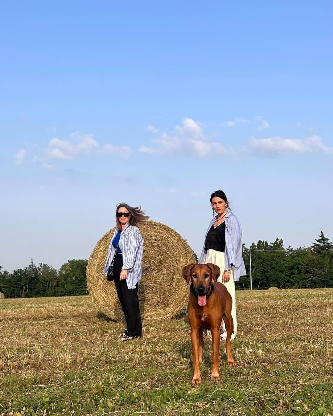 コリアックのインスタグラム：「Un po’ di Emilia Romagna ✨ @alicepavarini」