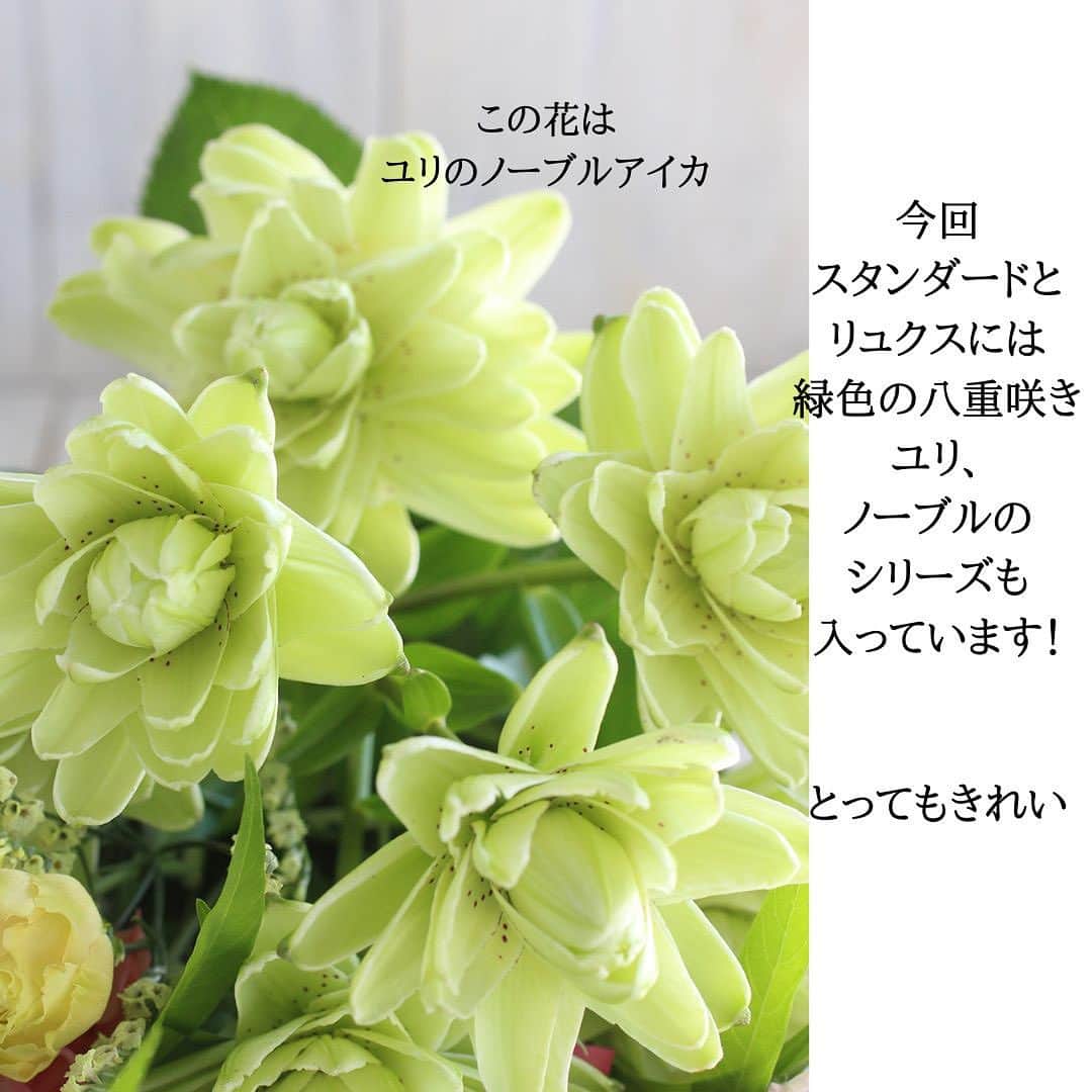 雑誌『花時間』さんのインスタグラム写真 - (雑誌『花時間』Instagram)「花時間では、夏でも頑張って、素敵な花たちをお届けしています。  花時間（@hanajikan_magazine）です。  昨日のライブをご覧になってくださった皆さま、ありがとうございました！  本日の投稿は、昨日、市場で撮影してきた花時間の定期便のお花です🎵　  お送りしたすべてのコースに共通する花は、香り良いバジル🌿  シソのようなお花がつき、葉っぱの香りは🍋🍋🍋  とってもよい香りがしますよ！  定期便のプチには、今回、バラを1本おまけでお入れしました。花びらに少し傷があるかもしれませんが、摘みたての新鮮なお花ですので、もちは保証いたします。  ご興味のある方は、インスタのプロフィール画面に記載の↓から、詳細をご覧になれます🎵  https://hanajikan.shop/  ⭐️7／13、14到着のお花⭐️  【プチ】  バラ（ギブイットオール） カーネーション（キャラメル） トルコギキョウ（サブリナオレンジ） スターチス（キノレモン） ワックスフラワー（染めグリーン） ブプレウルム スモークグラス バジル（ミセスバーンズレモンバジル）     【スタンダード】  バラ（エバーロング、ギブイットオール） カーネーション（キャラメル） トルコギキョウ（サブリナオレンジ） クルクマ（チェリープリンセスデーン） スターチス（キノレモン、オレンジカント） ワックスフラワー（染めグリーン） スモークグラス バジル（ミセスバーンズレモンバジル） リューカデンドロン チョウジソウ ユーカリ(ニデンス)   【リュクス】  バラ（エバーロング、ギブイットオール、ソルファ、バイアモーメント） カーネーション（キャラメル） トルコギキョウ（サブリナオレンジ） クルクマ（チェリープリンセスデーン） ユリ（ノーブルアイカ） スターチス（キノレモン、オレンジカント） スモークグラス バジル（ミセスバーンズレモンバジル） リューカデンドロン チョウジソウ ユーカリ(ニデンス) ブプレウルム     【グリーンブーケ】  バラ(オリエンタルエクレール) ユリ(ノーブル) キク（アナスタシアダークライム） リューカデンドロン アナベル ワックスフラワー（染めグリーン） ブプレウルム ユーカリ（ニデンス） スモークグラス チョウジソウ バジル（ミセスバーンズレモンバジル）  【花時間ニュース】 💜『花時間』から、花の定期便がスタートしました🥰　世界でここだけのバラと旬花が届く嬉しいサービスです💕  💜『花時間2023春夏』〈春のピンク！夏のブルー！〉大好評発売中！  💜『花と短歌でめぐる 二十四節気 花のこよみ』大好評発売中  すべて @hanajikan_magazine のプロフィールのリンクから飛べます✈️  『花時間』本誌や書籍は全国の書店、ネット書店でも発売中✨  #花時間 #フラワーアレンジ #花の定期便  #花のサブスク  #花が好き #花が好きな人と繋がりたい #花を飾る #花を飾る生活 #花屋さんへ行こう」7月13日 7時07分 - hanajikan_magazine
