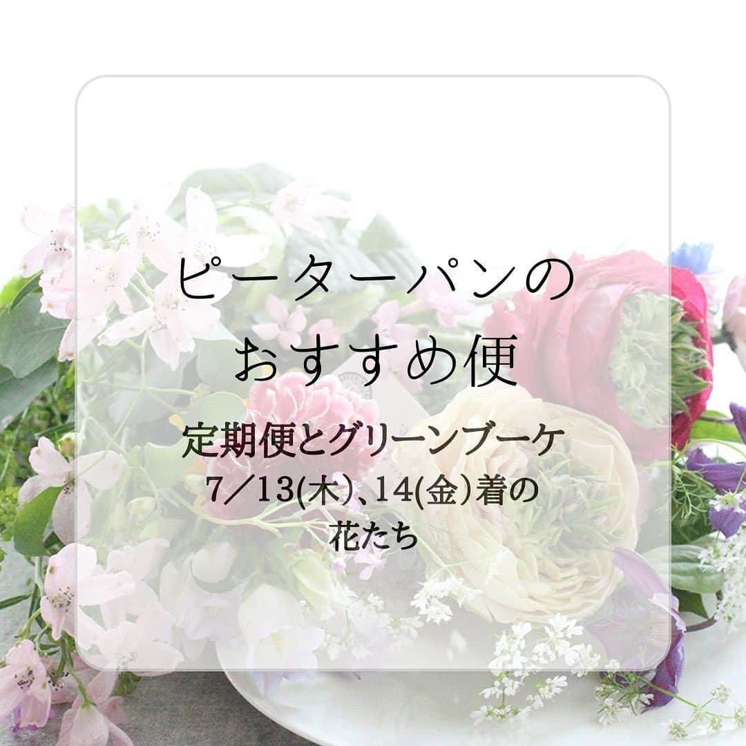 雑誌『花時間』のインスタグラム：「花時間では、夏でも頑張って、素敵な花たちをお届けしています。  花時間（@hanajikan_magazine）です。  昨日のライブをご覧になってくださった皆さま、ありがとうございました！  本日の投稿は、昨日、市場で撮影してきた花時間の定期便のお花です🎵　  お送りしたすべてのコースに共通する花は、香り良いバジル🌿  シソのようなお花がつき、葉っぱの香りは🍋🍋🍋  とってもよい香りがしますよ！  定期便のプチには、今回、バラを1本おまけでお入れしました。花びらに少し傷があるかもしれませんが、摘みたての新鮮なお花ですので、もちは保証いたします。  ご興味のある方は、インスタのプロフィール画面に記載の↓から、詳細をご覧になれます🎵  https://hanajikan.shop/  ⭐️7／13、14到着のお花⭐️  【プチ】  バラ（ギブイットオール） カーネーション（キャラメル） トルコギキョウ（サブリナオレンジ） スターチス（キノレモン） ワックスフラワー（染めグリーン） ブプレウルム スモークグラス バジル（ミセスバーンズレモンバジル）     【スタンダード】  バラ（エバーロング、ギブイットオール） カーネーション（キャラメル） トルコギキョウ（サブリナオレンジ） クルクマ（チェリープリンセスデーン） スターチス（キノレモン、オレンジカント） ワックスフラワー（染めグリーン） スモークグラス バジル（ミセスバーンズレモンバジル） リューカデンドロン チョウジソウ ユーカリ(ニデンス)   【リュクス】  バラ（エバーロング、ギブイットオール、ソルファ、バイアモーメント） カーネーション（キャラメル） トルコギキョウ（サブリナオレンジ） クルクマ（チェリープリンセスデーン） ユリ（ノーブルアイカ） スターチス（キノレモン、オレンジカント） スモークグラス バジル（ミセスバーンズレモンバジル） リューカデンドロン チョウジソウ ユーカリ(ニデンス) ブプレウルム     【グリーンブーケ】  バラ(オリエンタルエクレール) ユリ(ノーブル) キク（アナスタシアダークライム） リューカデンドロン アナベル ワックスフラワー（染めグリーン） ブプレウルム ユーカリ（ニデンス） スモークグラス チョウジソウ バジル（ミセスバーンズレモンバジル）  【花時間ニュース】 💜『花時間』から、花の定期便がスタートしました🥰　世界でここだけのバラと旬花が届く嬉しいサービスです💕  💜『花時間2023春夏』〈春のピンク！夏のブルー！〉大好評発売中！  💜『花と短歌でめぐる 二十四節気 花のこよみ』大好評発売中  すべて @hanajikan_magazine のプロフィールのリンクから飛べます✈️  『花時間』本誌や書籍は全国の書店、ネット書店でも発売中✨  #花時間 #フラワーアレンジ #花の定期便  #花のサブスク  #花が好き #花が好きな人と繋がりたい #花を飾る #花を飾る生活 #花屋さんへ行こう」
