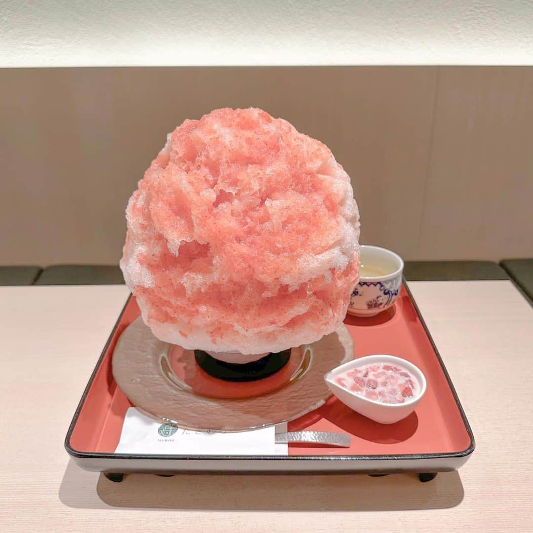 mai1220さんのインスタグラム写真 - (mai1220Instagram)「めっちゃでかい🍧 2人でちょうどいいと思う😂 アンパンマンミュージアムの帰りに寄るよねー！ 和カフェ大好き🫶 ⁡ ⁡ @kanmidokoro.takimura ⁡ 甘味処たきむら 福岡県福岡市博多区下川端町3-1 B2 ⁡ 10:30〜19:00 ⁡ 定休日:不定 ⁡ ⁡ ⁡ #福岡カフェ #福岡グルメ #カフェ巡り #福岡カフェ巡り #retrip_fukuoka #福岡グルメナビ #福岡カフェ部 #福岡cafe #福岡ランチ #博多カフェ #fukuokacafe #甘味処たきむら #福岡和菓子 #お団子 #いちごスイーツ #苺スイーツ #福岡子連れカフェ #男の子ママ #福岡ママと繋がりたい #福岡子連れ情報 #子連れカフェ福岡 #アンパンマンミュージアム福岡」7月13日 7時00分 - mai1220