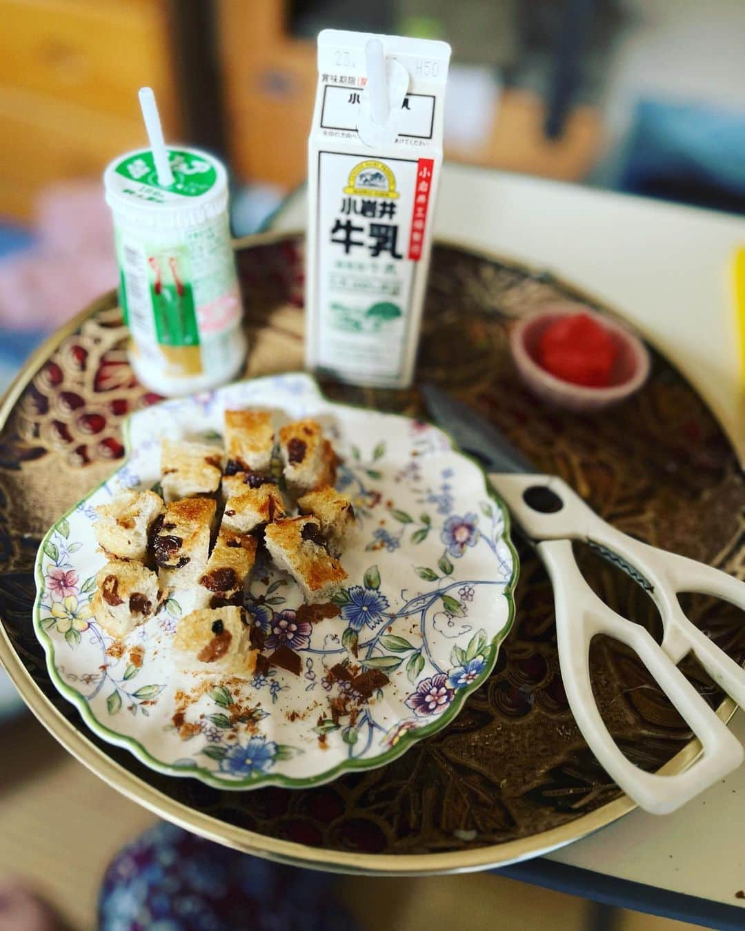 浅川稚広のインスタグラム：「#介護生活7日目  お早うございます☀️  義母の今朝のご飯はこちら💁‍♀️  ・ジョア（マスカット味） ・牛乳(牛乳) ・レーズン食パン（焼＋バター） ・西瓜🍉  食パンは耳を切り、中の柔らかいところだけ食べました。 ジョアが甘過ぎるので、牛乳で中和したいとの事。なので、両方とも半分くらいずつ飲みました。 残りは明日の朝飲むそう。  食パン、耳を外したけれど、それでも小さな二切れは残したので、食べたのは半分程度。  血圧71/53  脈拍55  体温36．5度  6：４５　アミオダロン服薬  7：４５　チラージン他７種類服薬  →チラージンの副作用が強いため、服薬後1時間から2時間は不整脈が起こりやすく要注意の時間帯。」