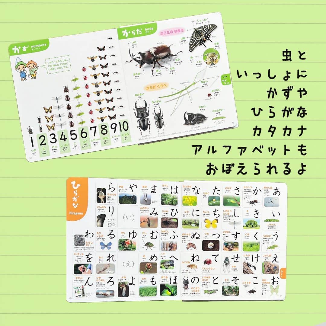 学研ゼミ【公式】さんのインスタグラム写真 - (学研ゼミ【公式】Instagram)「＼新発売／むしが大好きなお子さん、あつまれー‼️ 240万部突破『こどもずかん』シリーズに 『むし777』写真バージョンが登場🐞   多くのお子さんとパパママに支持され、 240万部を突破した『 #こどもずかん 』シリーズ。 このたび、夏の最新刊 『こどもずかん むし777 英語つき しゃしんバージョン』 が発売されました！🆕  こちらは 『 #こどもずかん777 英語つき しゃしんバージョン』 の #むし 編。 777語以上の #虫 にまつわることば（日本語＆英語）と、 人気の虫の写真を たっぷり収録しています。  掲載されている虫は #かぶとむし #くわがた むし てんとうむし ちょう　が　いもむし はち　あり　#せみ　かめむし ばった　かまきり とんぼ　など 計14ジャンル。  数、色、 ひらがな、カタカナ、アルファベットなど #知育 要素も充実しています✏️  それぞれのことばには、英語とふりがなつき。 『こどもずかん』のふりがなは 「読んだら、ネイティブの英語のように聞こえる！」 とのお声をいただいております✨ はじめての「 #おうち英語 」の導入にも👌  #昆虫 採集シーズンの #夏休み、 この『こどもずかん むし777』といっしょに ことばを楽しくおぼえてみましょう☀️  『 #こどもずかんむし 777 英語つき しゃしんバージョン』 監修　#岡島秀治 絵　#よしだじゅんこ おすすめの年齢：０歳～５歳 #Gakken #学研の絵本 #絵本 @gakken_ehon」7月13日 7時54分 - gakken_ehon