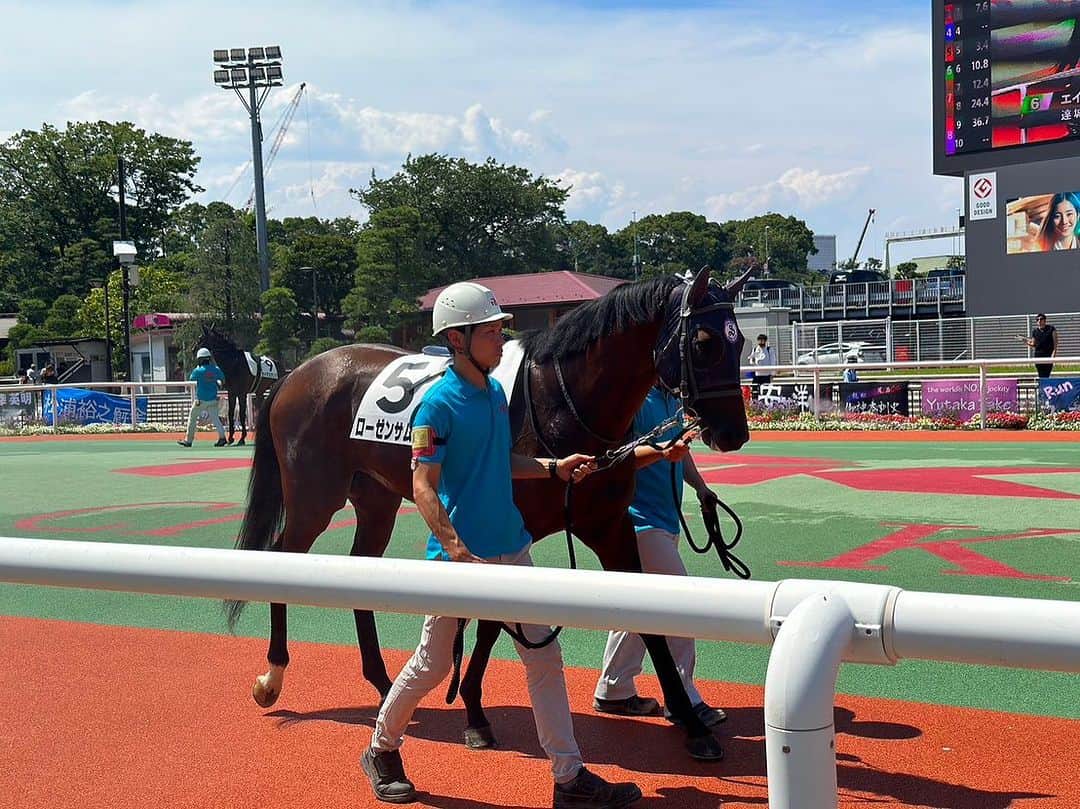 酒井一圭さんのインスタグラム写真 - (酒井一圭Instagram)「復帰戦2着だったローゼンサムライ。半馬身差だったので勝ちたかった気持ちも僅かに残りますが、休養を経て成長を見せてくれたし、安堵感の方が随分と勝ります。やはり競馬場で愛馬が走っている姿は格別です😊」7月13日 8時09分 - sakaikazuyoshi
