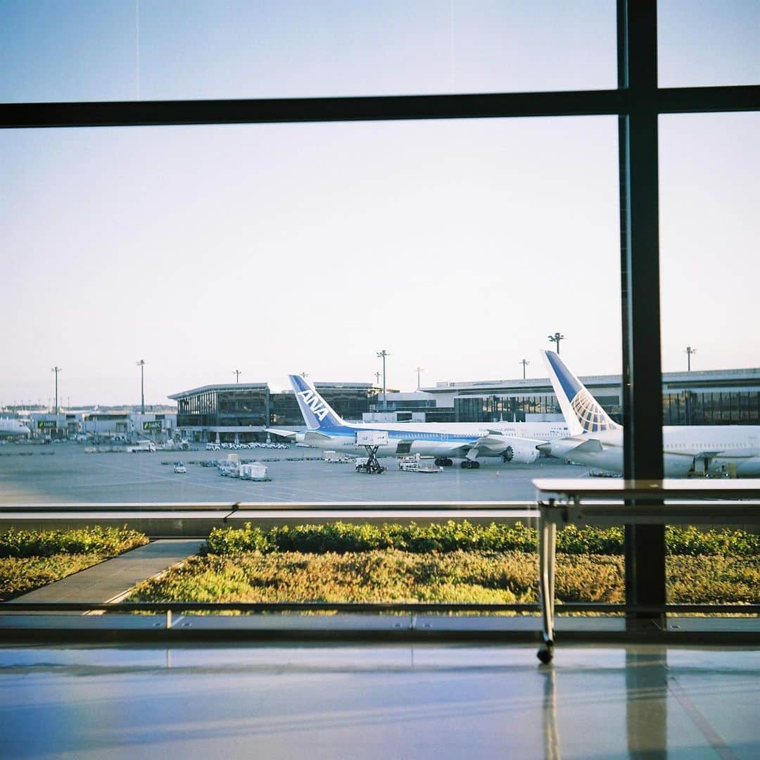 高橋春織さんのインスタグラム写真 - (高橋春織Instagram)「.  旅に出る時の保安検査で、 フィルムをX線に通したくないので、 オープンチェックをするのだけど、 きちんとシャッターを切れるか 動作確認する時に撮れてた写真🛩️  フィルム本当に高くなっちゃって 大事な1枚だから、無駄にしたくない  でも、数も減って手に入りづらくなって 高くなっても、フィルムで撮る写真は、 私にとってそれ以上の価値があるもの  ずっと残るから。  #filmphotography」7月13日 13時57分 - haoringo_official