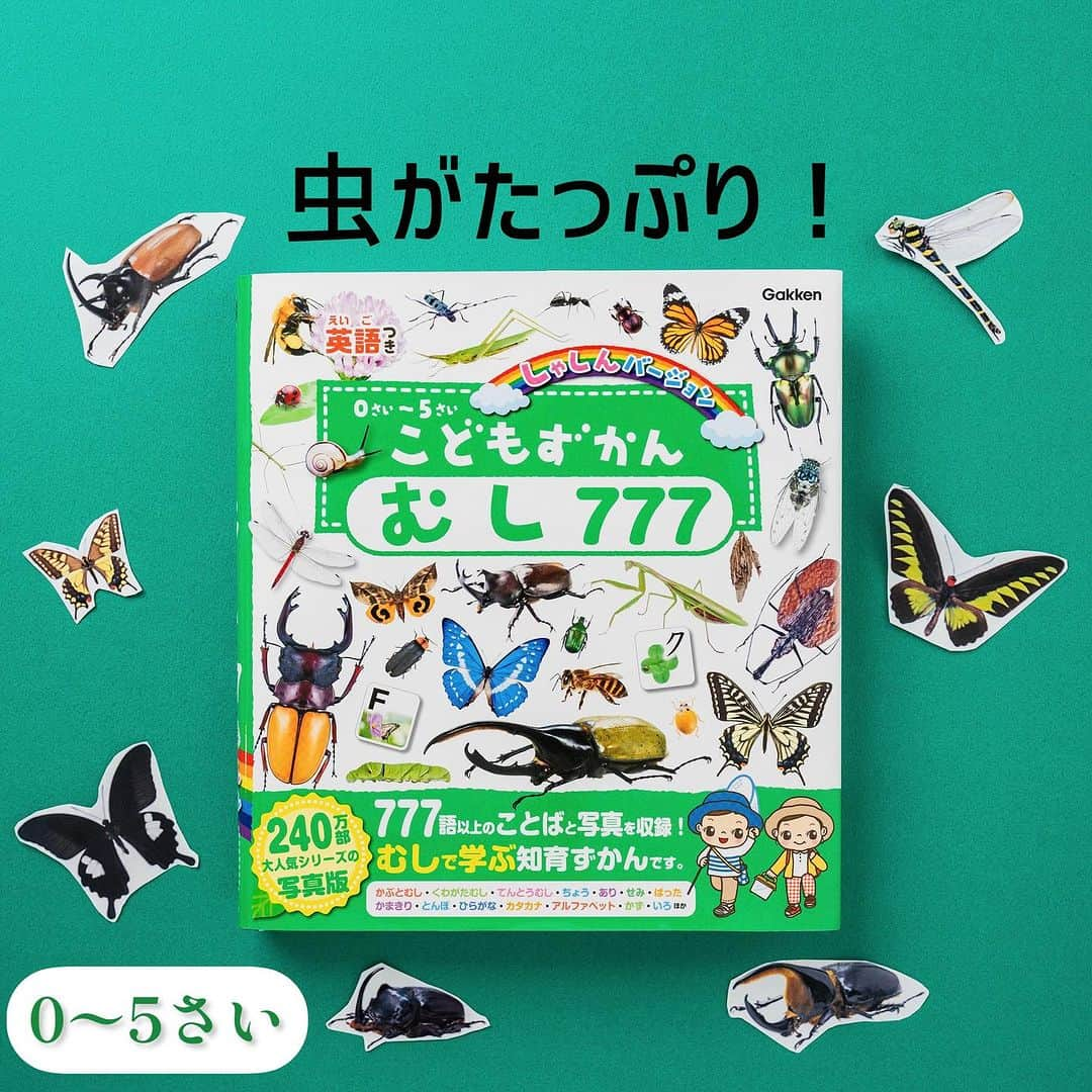 学研ゼミ【公式】のインスタグラム：「＼新発売／むしが大好きなお子さん、あつまれー‼️ 240万部突破『こどもずかん』シリーズに 『むし777』写真バージョンが登場🐞   多くのお子さんとパパママに支持され、 240万部を突破した『 #こどもずかん 』シリーズ。 このたび、夏の最新刊 『こどもずかん むし777 英語つき しゃしんバージョン』 が発売されました！🆕  こちらは 『 #こどもずかん777 英語つき しゃしんバージョン』 の #むし 編。 777語以上の #虫 にまつわることば（日本語＆英語）と、 人気の虫の写真を たっぷり収録しています。  掲載されている虫は #かぶとむし #くわがた むし てんとうむし ちょう　が　いもむし はち　あり　#せみ　かめむし ばった　かまきり とんぼ　など 計14ジャンル。  数、色、 ひらがな、カタカナ、アルファベットなど #知育 要素も充実しています✏️  それぞれのことばには、英語とふりがなつき。 『こどもずかん』のふりがなは 「読んだら、ネイティブの英語のように聞こえる！」 とのお声をいただいております✨ はじめての「 #おうち英語 」の導入にも👌  #昆虫 採集シーズンの #夏休み、 この『こどもずかん むし777』といっしょに ことばを楽しくおぼえてみましょう☀️  『 #こどもずかんむし 777 英語つき しゃしんバージョン』 監修　#岡島秀治 絵　#よしだじゅんこ おすすめの年齢：０歳～５歳 #Gakken #学研の絵本 #絵本 @gakken_ehon」