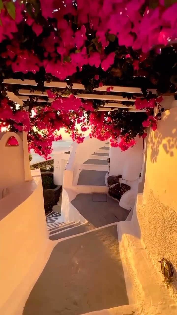 Wonderful Placesのインスタグラム
