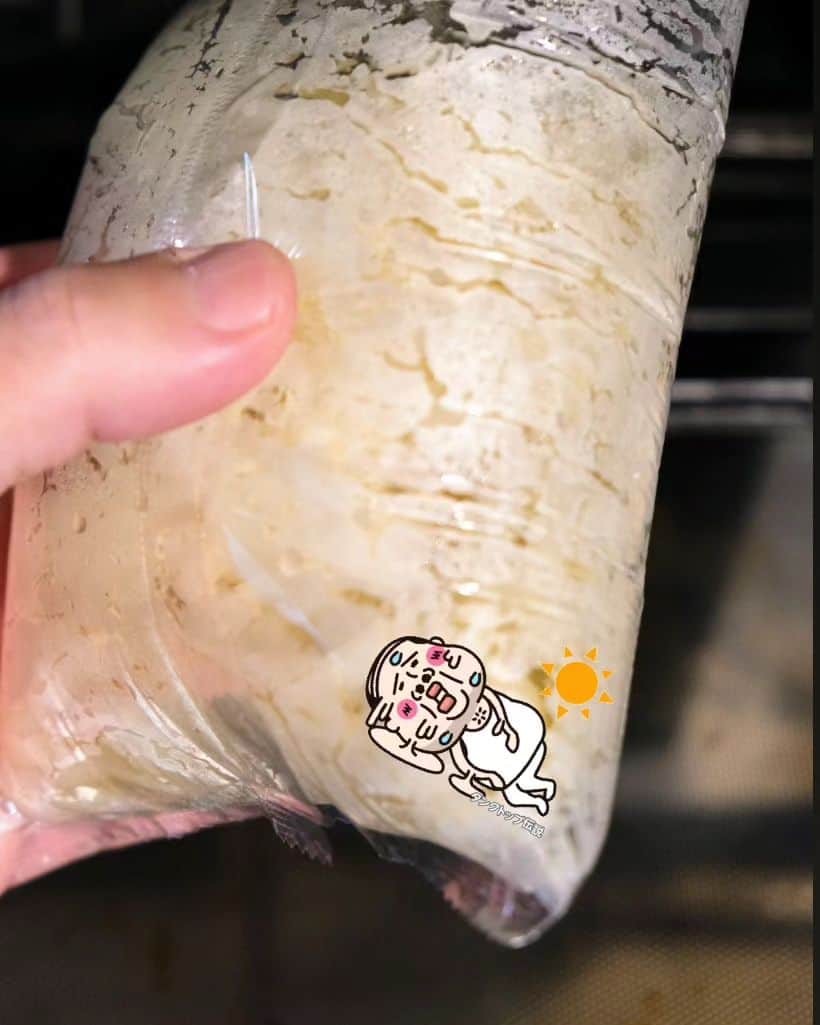 わたをさんのインスタグラム写真 - (わたをInstagram)「冷やしうどんはじめてます  もう夏の昼ご飯なんかずっとこれでええんちゃうの、ってくらい食べてるやつ👴🏼  鍋で1リットルのお湯を沸かして顆粒ダシ大さじ1、薄口醤油とミリン大さじ3ずつ、塩小さじ1/2で味付け。粗熱をとって冷蔵庫で冷やしておく(これで4〜5人分くらい)。 後は冷凍うどんを袋のままレンチン。ザルにとって水でしめる(シコシコ)のもありだけど、熱々のまま丼に入れて冷たいおダシかける(モチモチ)のもまた良し。刻みネギ、かまぼこ、天カスなど添えていただきます。氷を入れても◯  ※天カスは市販の乾燥したのでもいいんだけど、スーパーの惣菜コーナーで売ってるような一袋70円くらいの天カス使うとうまいです。  #おうちごはん #昼ごはん #お昼ごはん #昼食 #うどん #冷やしうどん #Yummy #Delicious #Japan #japanesefood #Japaneselunch #lunch」7月13日 11時35分 - watao.n