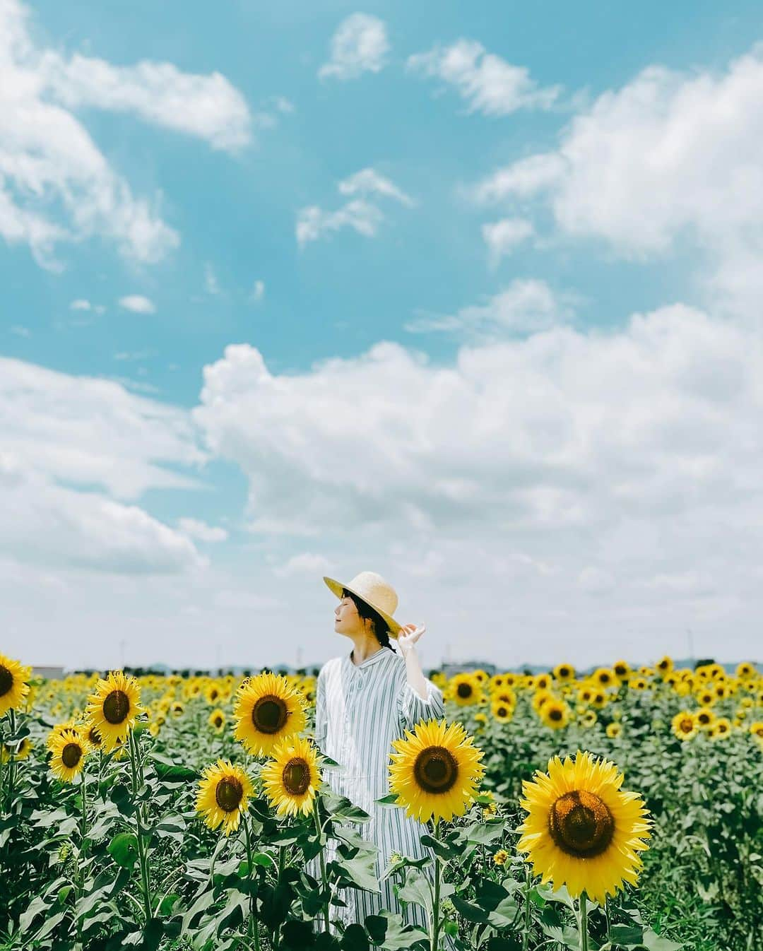 shinichi38さんのインスタグラム写真 - (shinichi38Instagram)「⁡ ⁡ Summer Day 🌻  #shotoniphone  #shotoniphone14promax」7月13日 23時04分 - shinichillout54